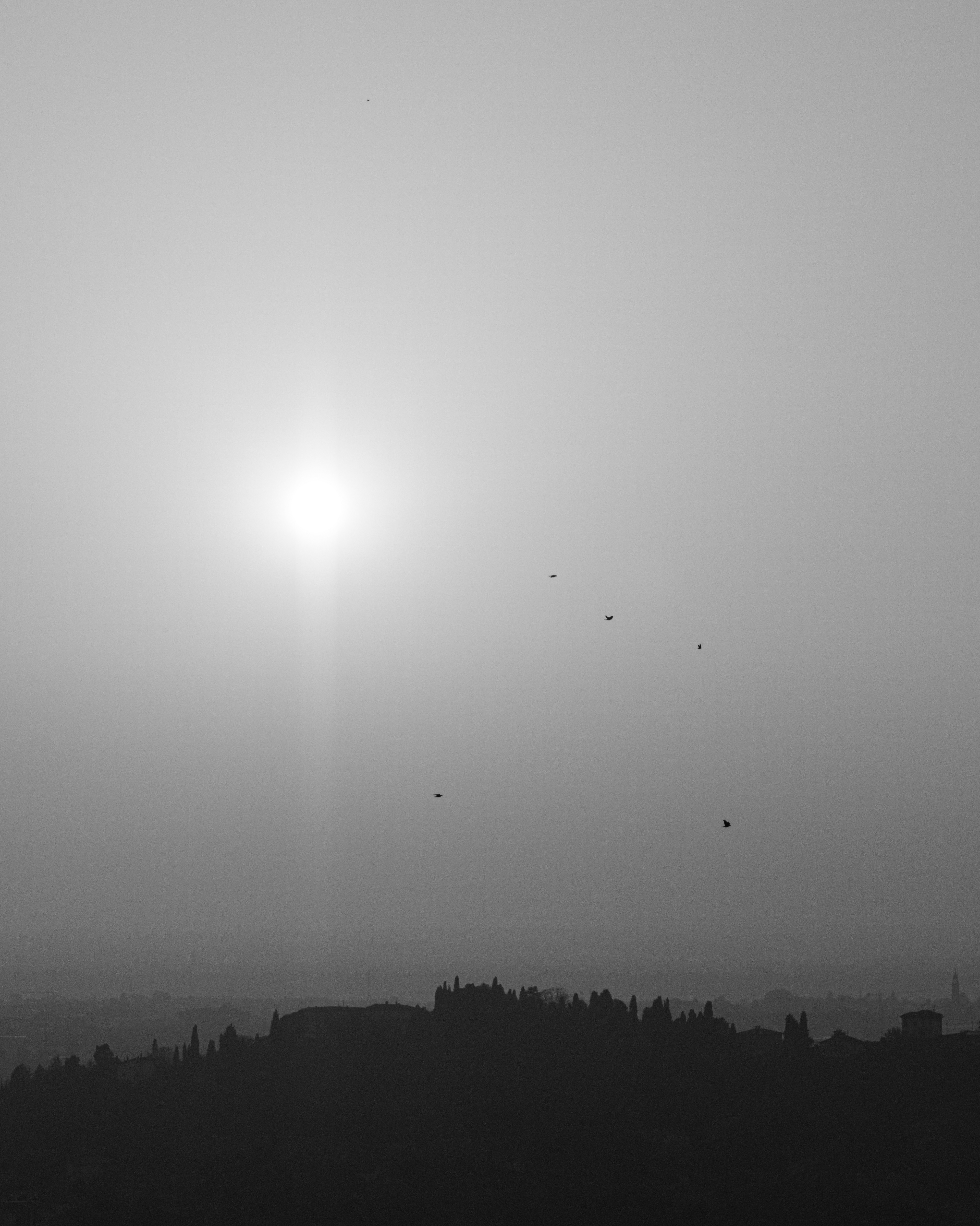 28 - Bergamo
