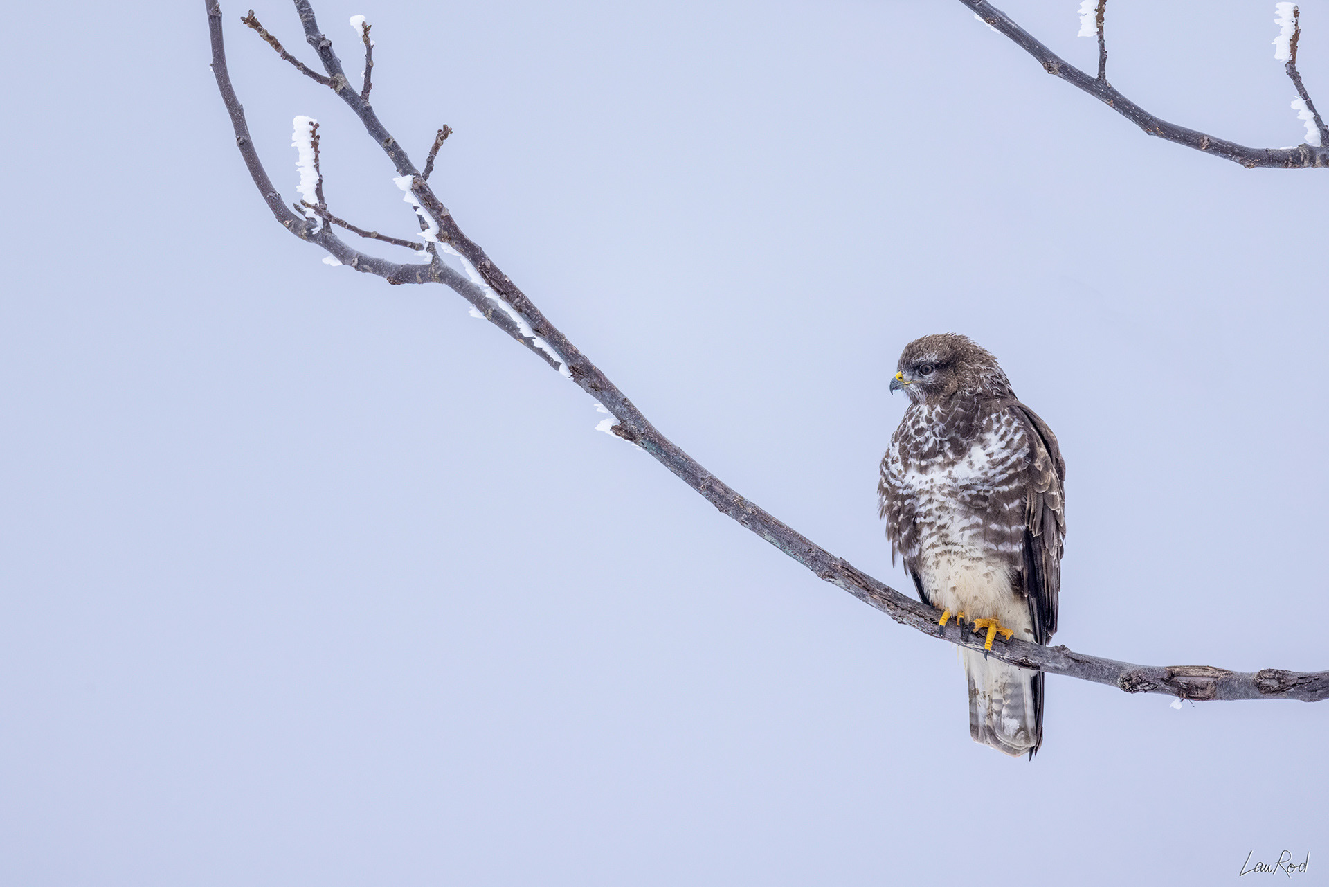 Buse variable - OBJ101