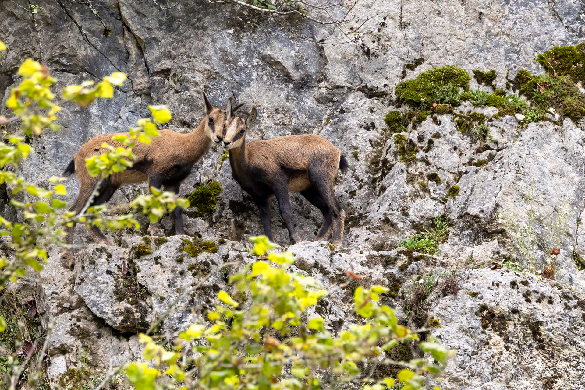 Éterlous complicité - M179 