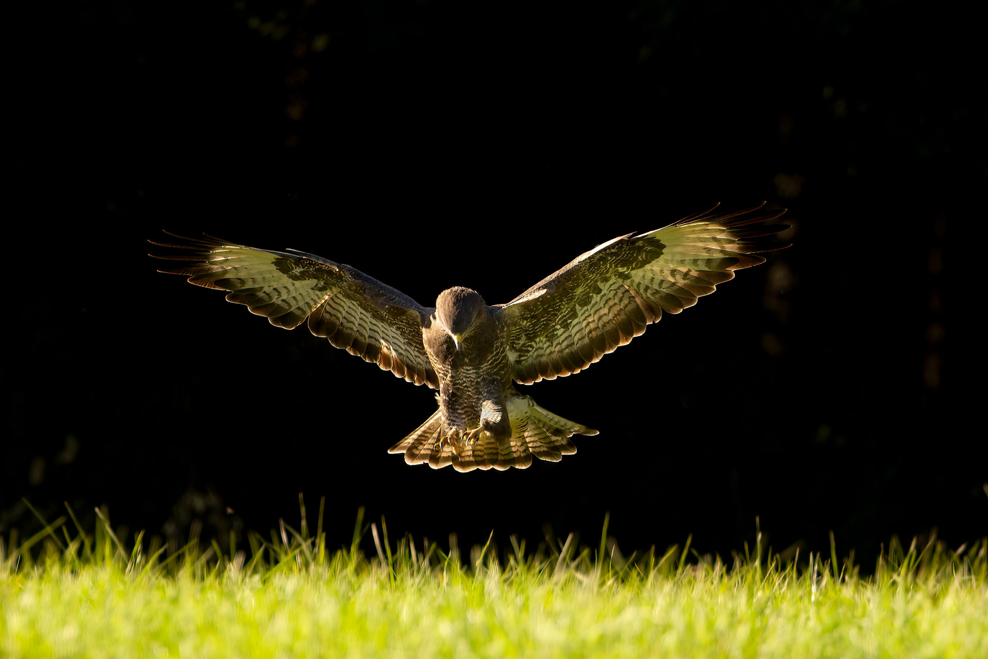 Buse variable - OBJ123