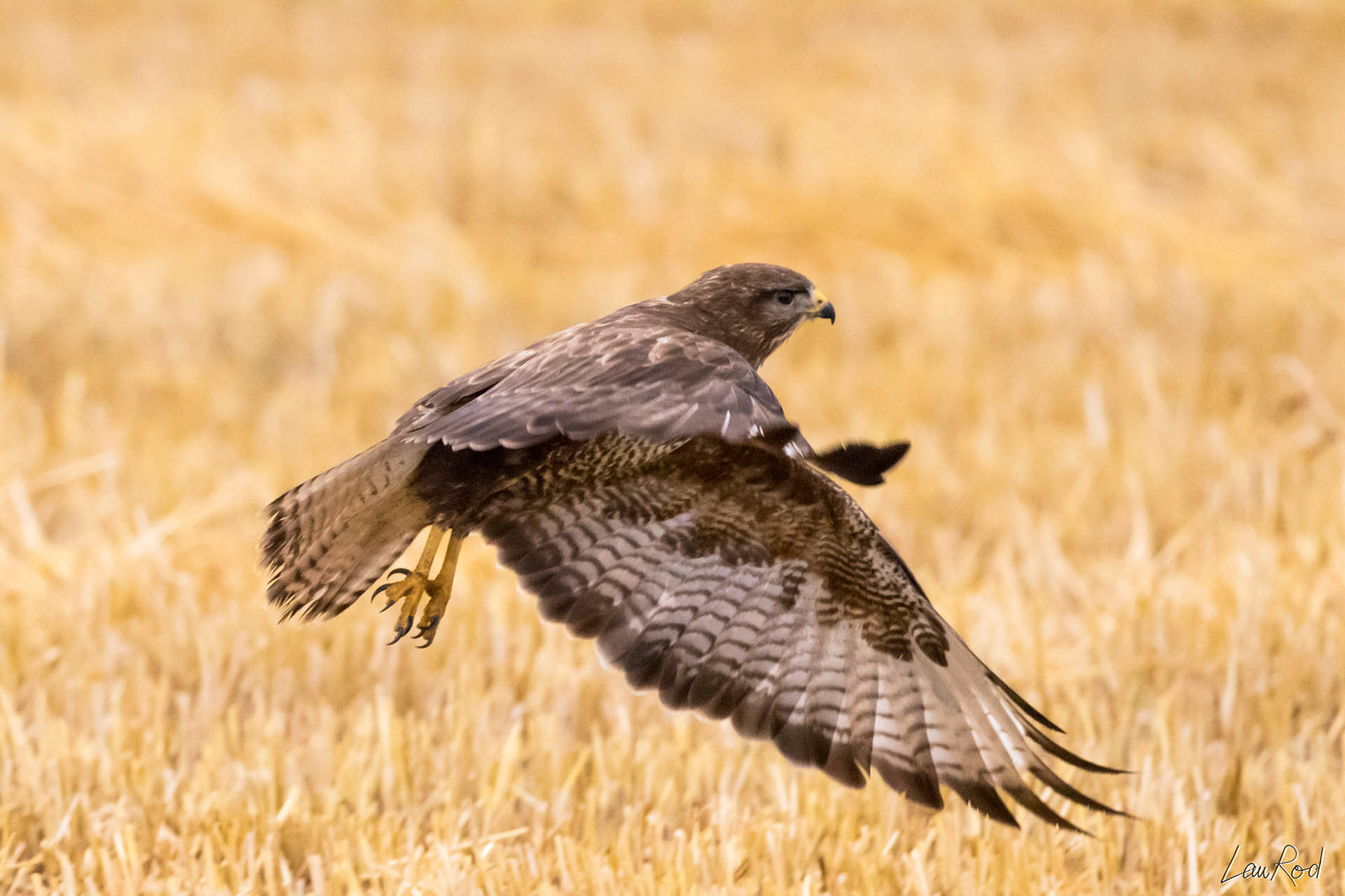 Buse variable - OBJ040