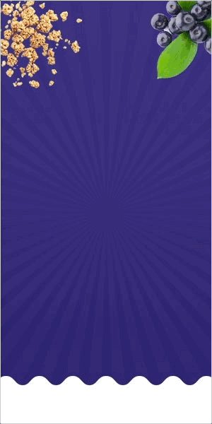 300 x 600
