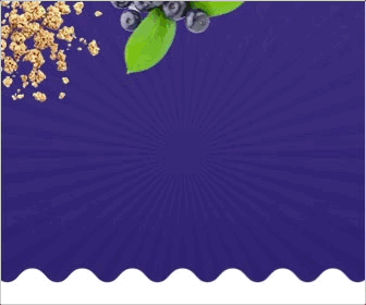 300 x 250
