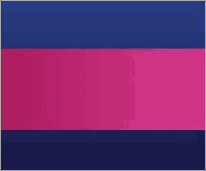 300 x 250