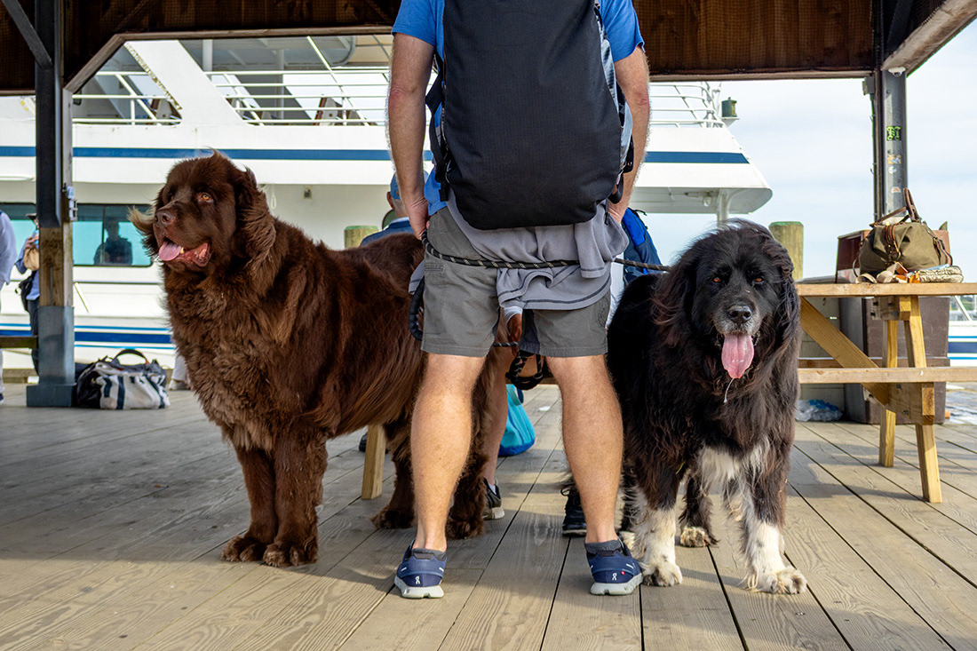 Martha's Vineyard, MA