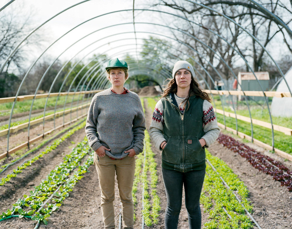 Homegrown: Urban Austin Farmers, 2016