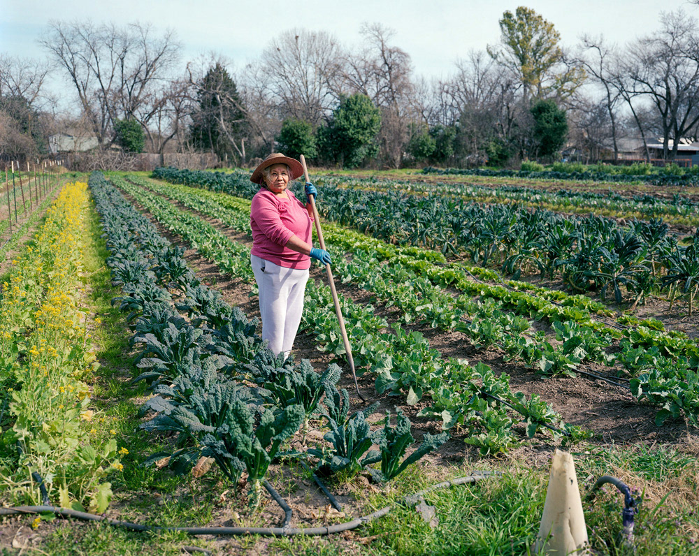 Homegrown: Urban Austin Farmers, 2016