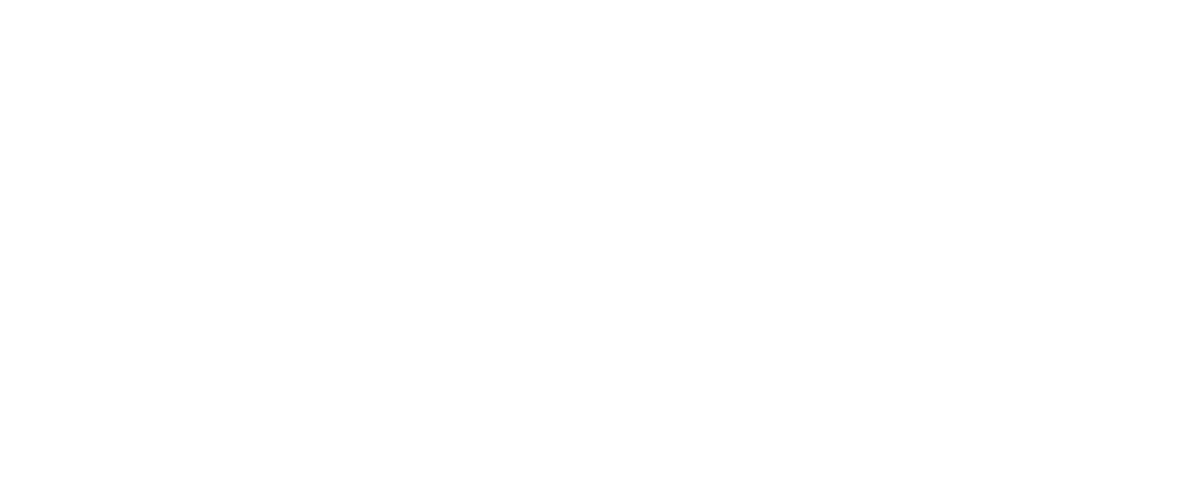 fiestatriste