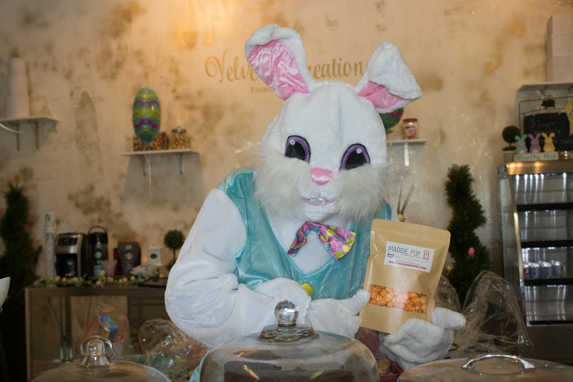 Murphy Photography - Velvet Creations Easter Bunny