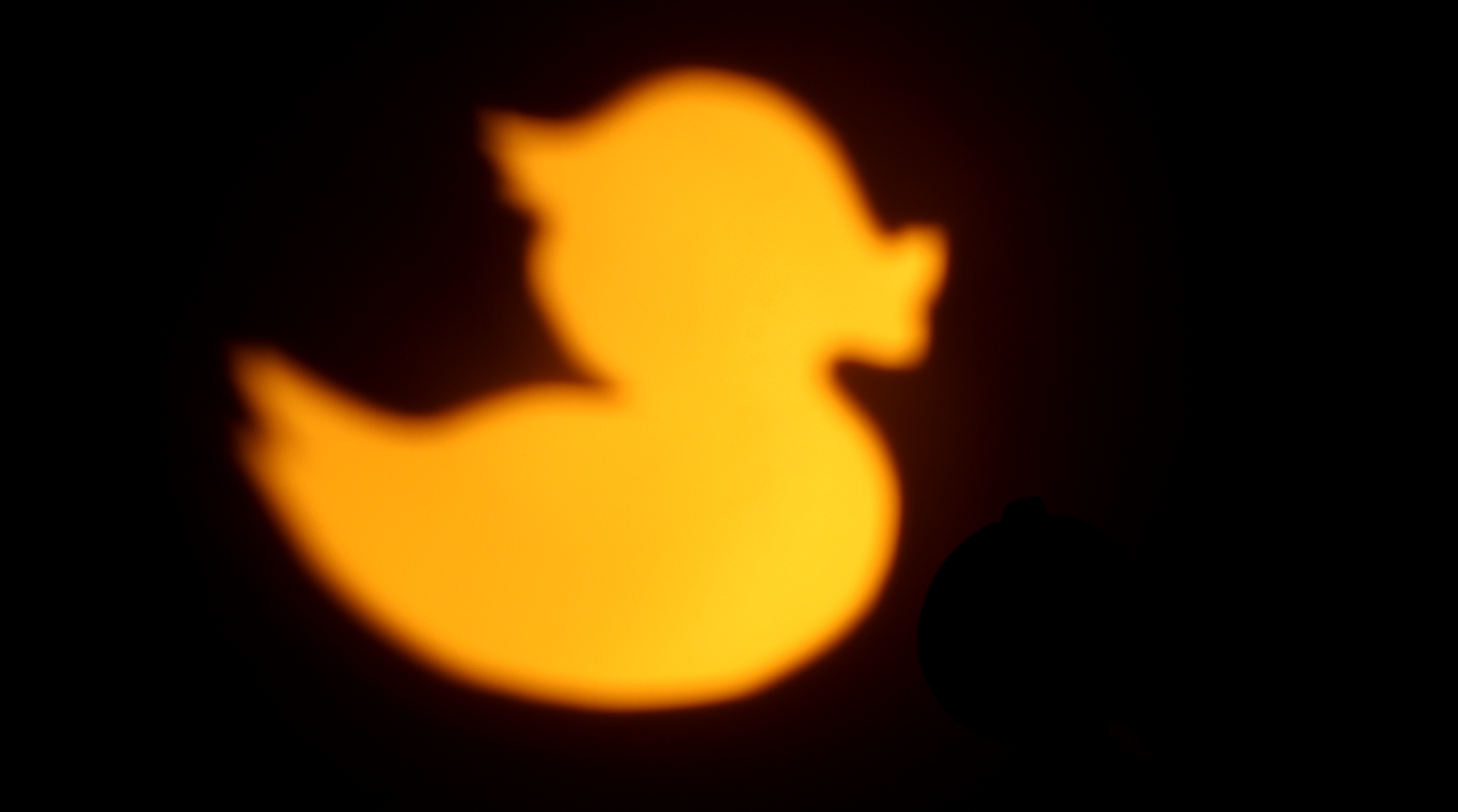 Duck gobo on the FL20
