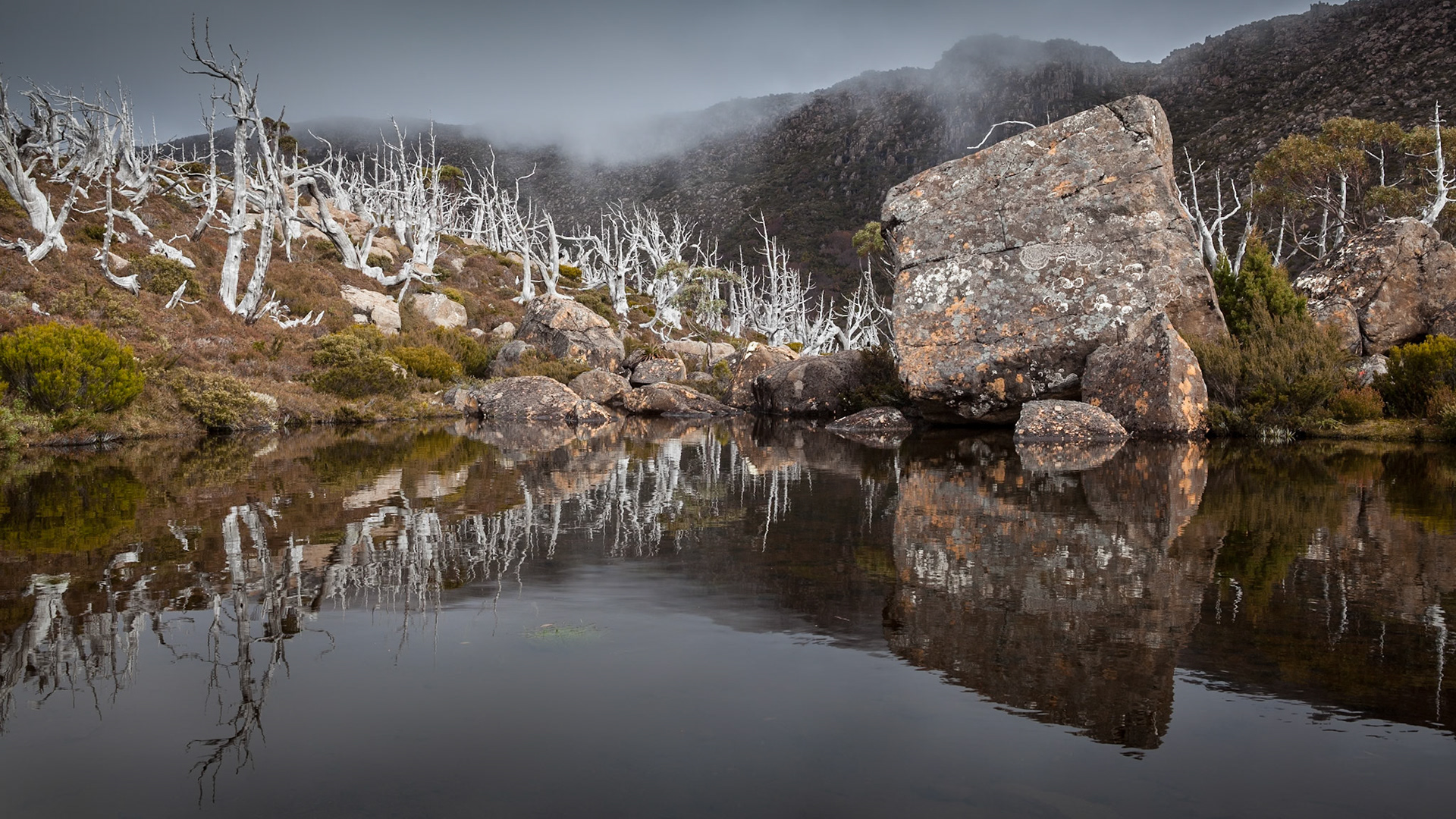 Tarn Shelf reflection, Mt Field National
