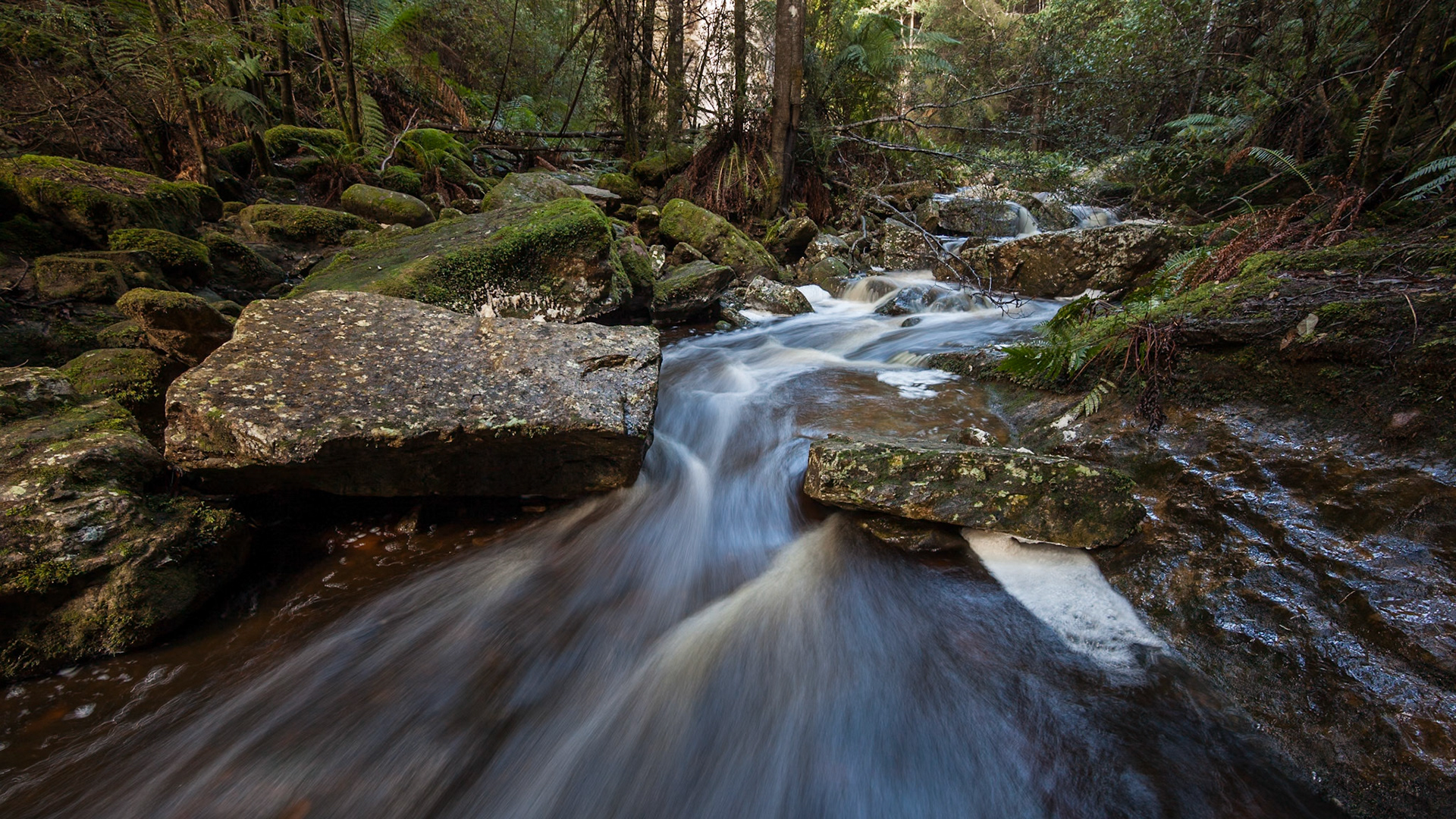 Stream from Snug falls run off