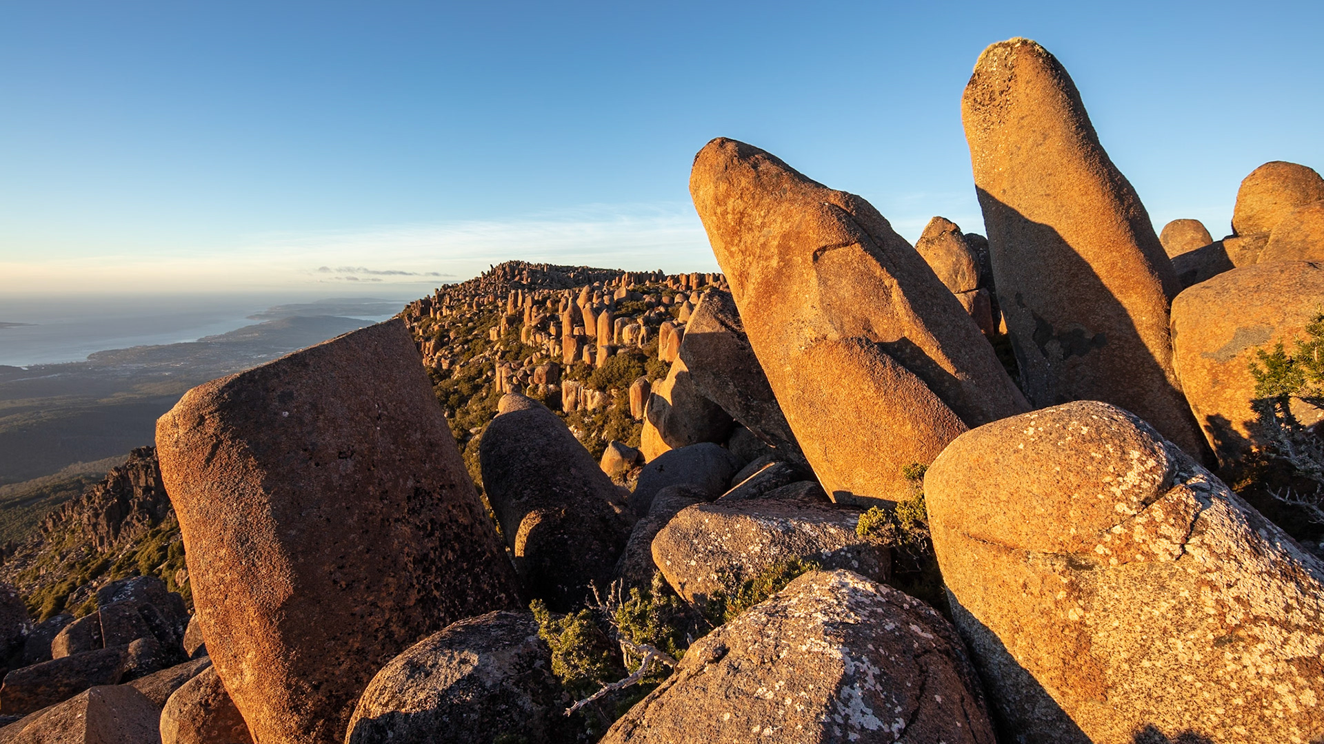 Dolerite rocks poking up like fingers from the summit of Mt Wellington