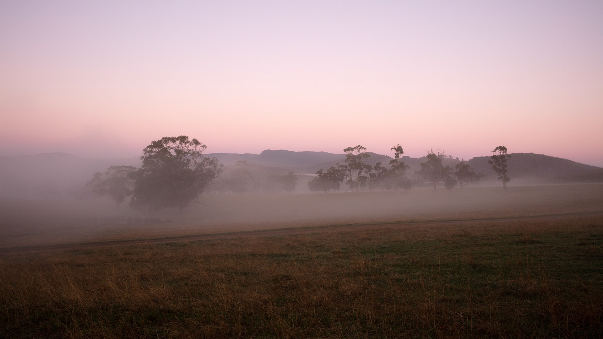 Pre-dawn fog over fields - Southern Tasmania