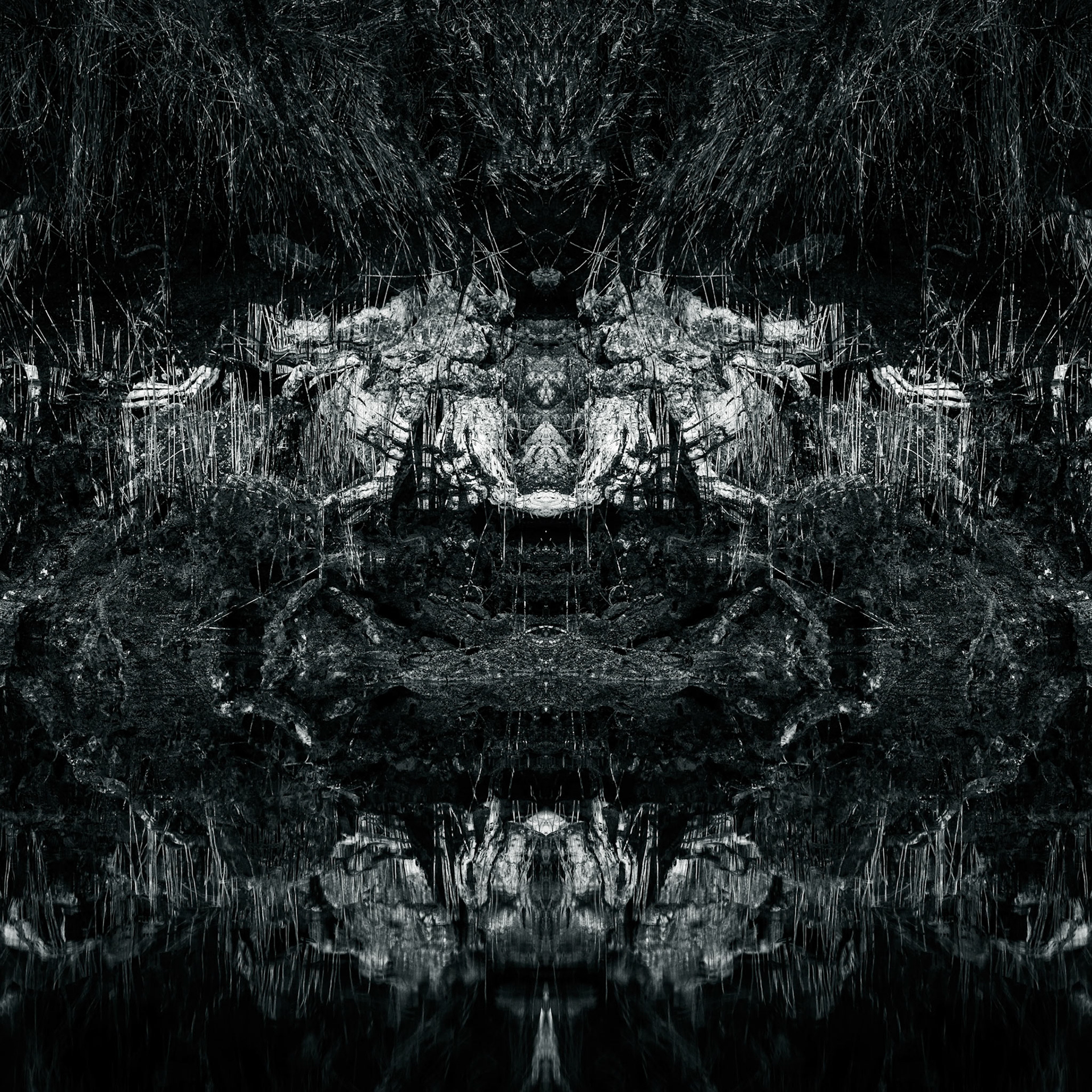 River reflection south west wilderness