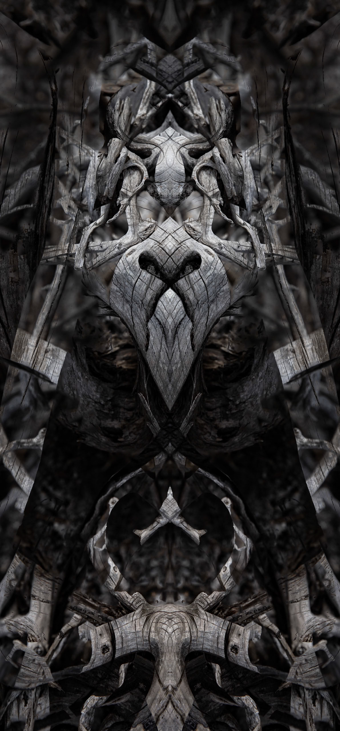 Artistic patterns - Lion