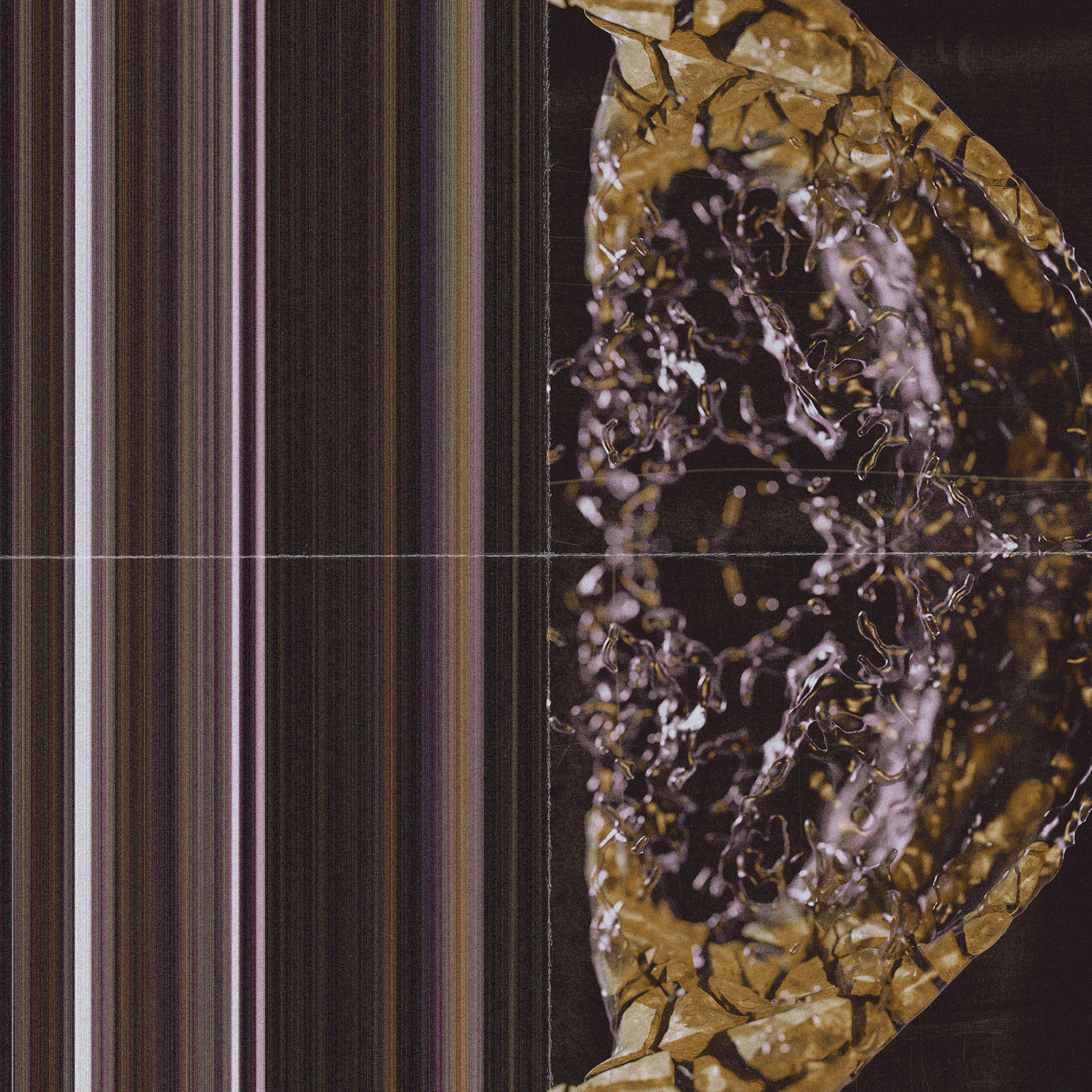 Asset téléchargé, Houdini, Cinema 4D, Redshift & Photoshop