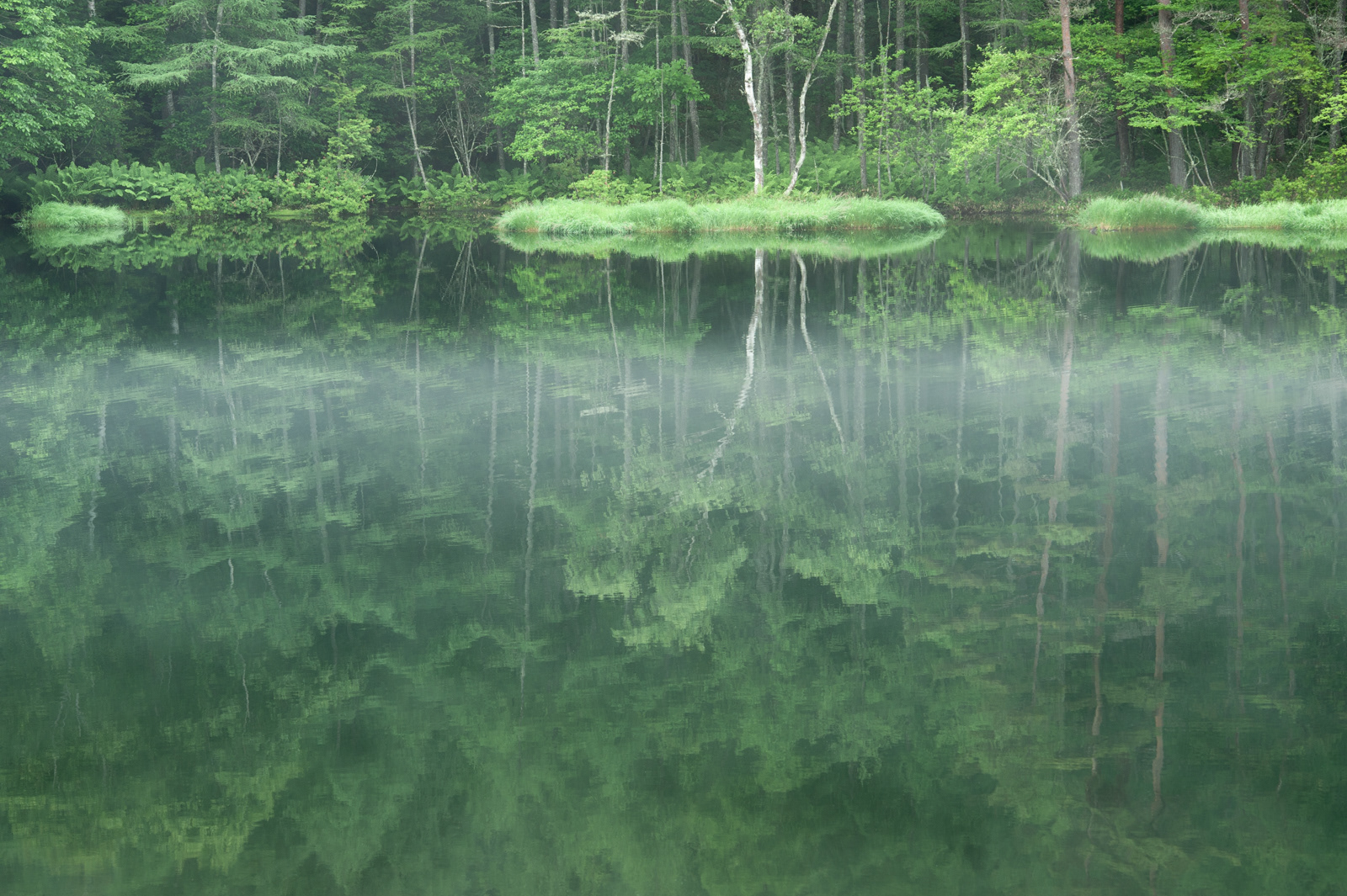 【写真家セミナー】「緑の風景写真」の悩みをRAW現像で解決！写真家 長瀬正太の“仕上げ方”｜Lightroom －アドビ公式－