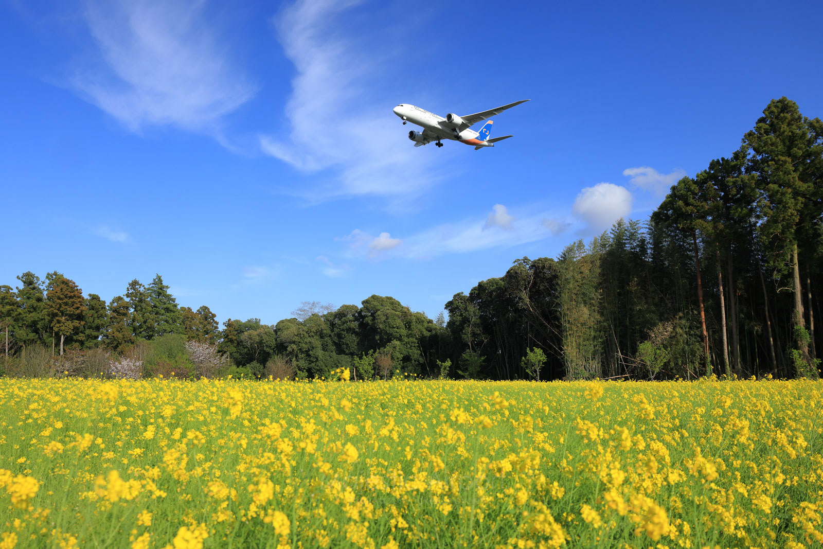 成田空港 - Narita Airport