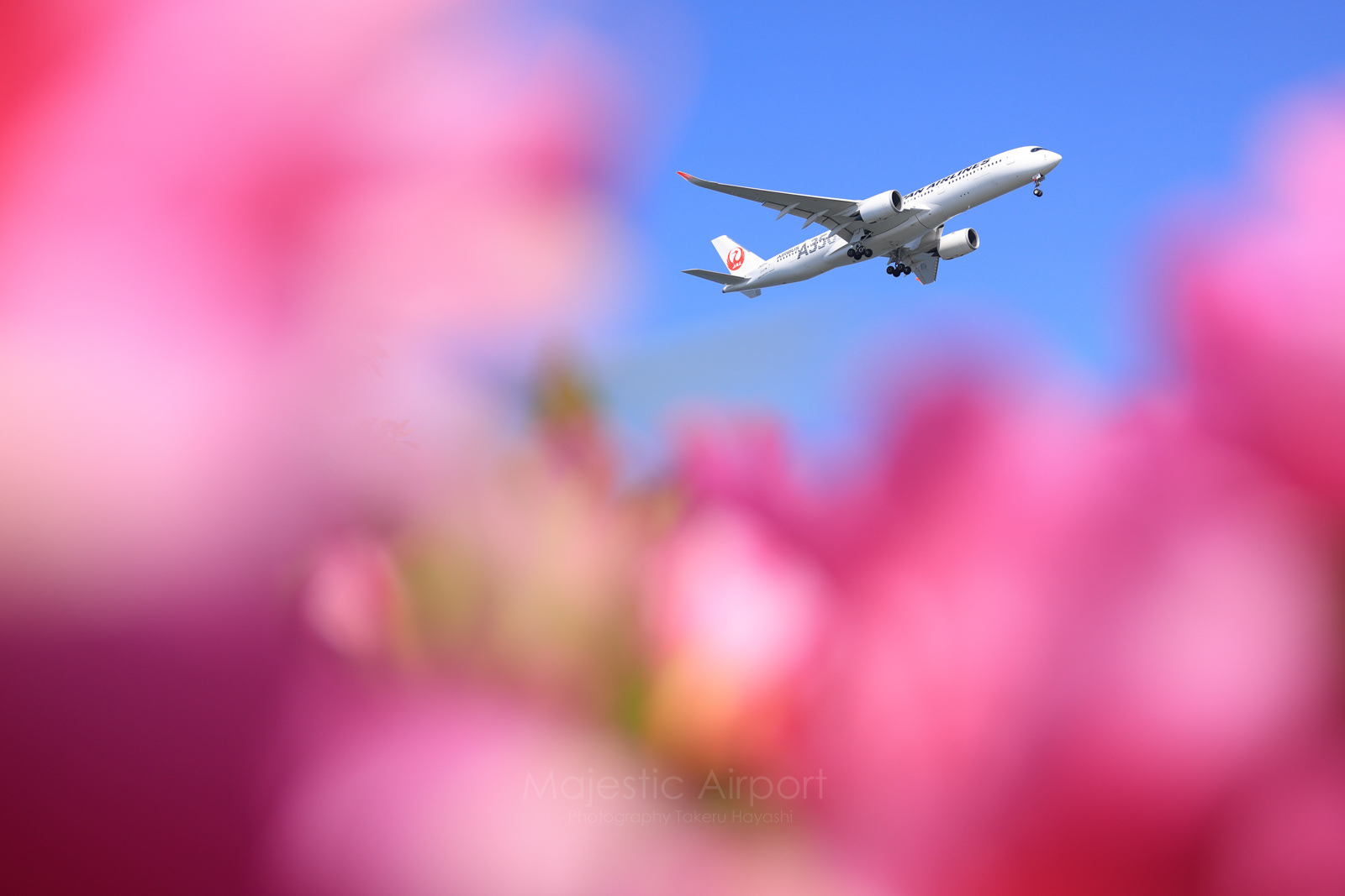 羽田空港 - Haneda Airport