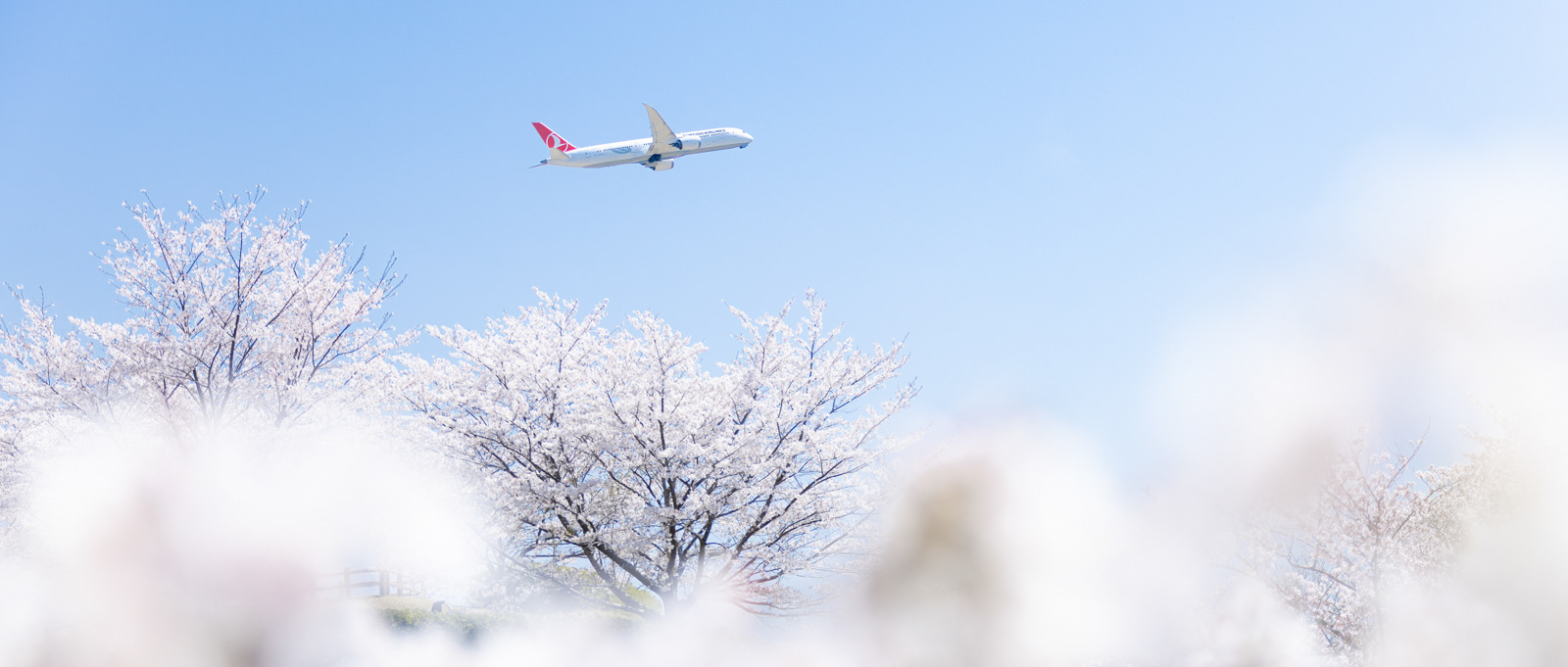 成田空港 - Narita Airport