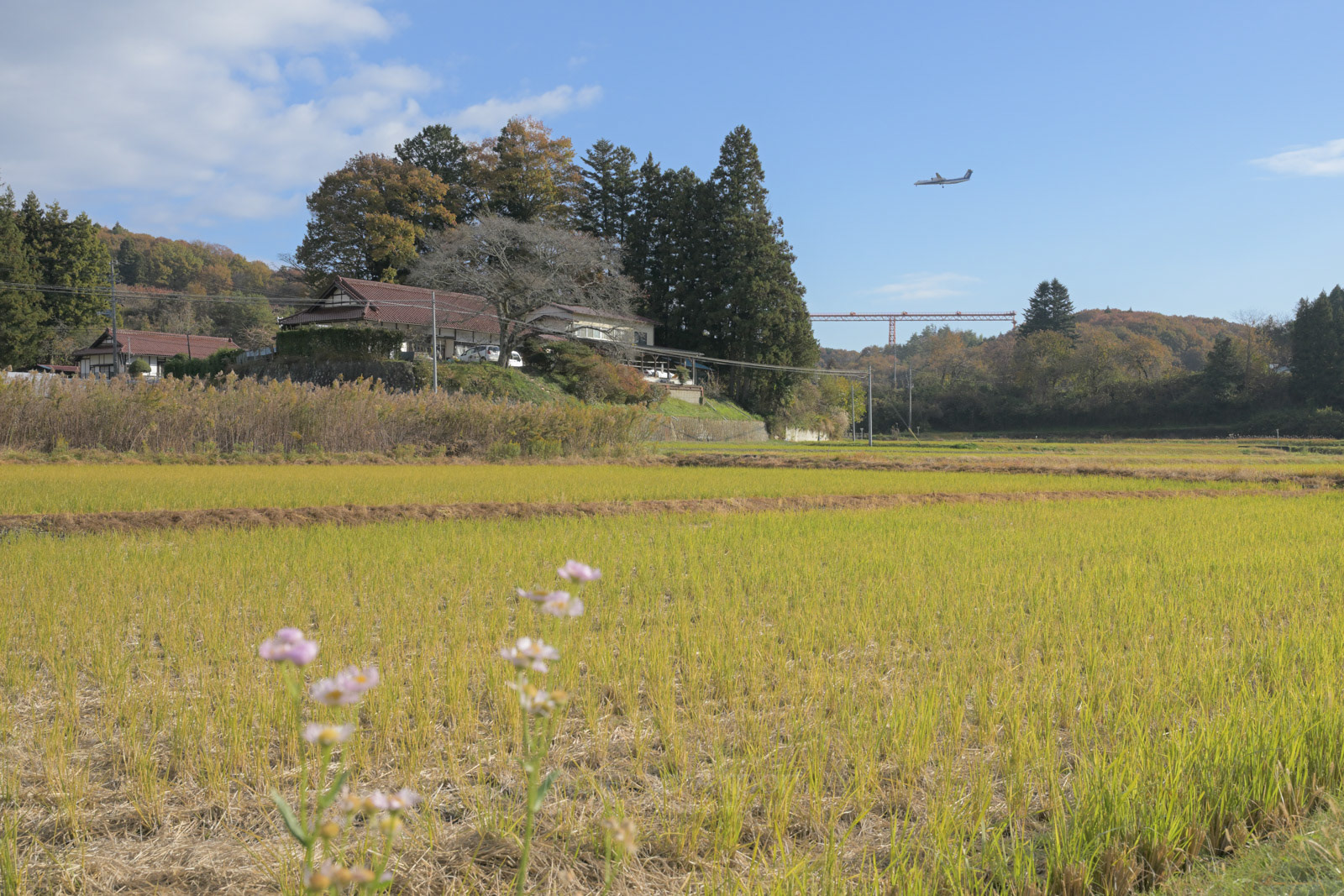 福島空港 - Fukushima Airport