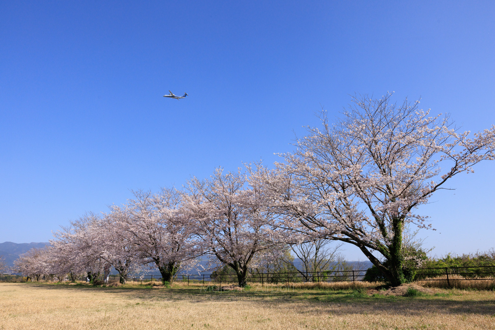 KMJ - Kumamoto Airport
