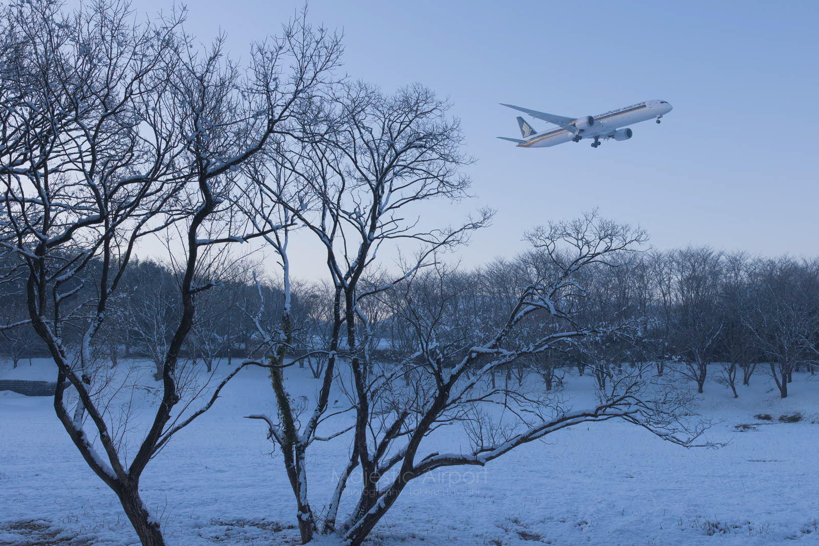 成田空港 - Narita Airport