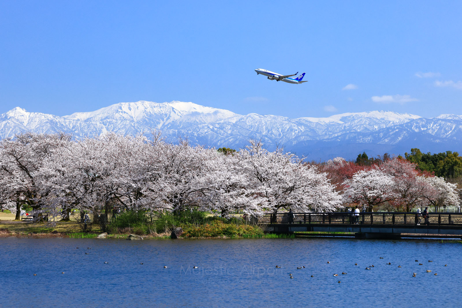 富山空港 - Toyama Airport