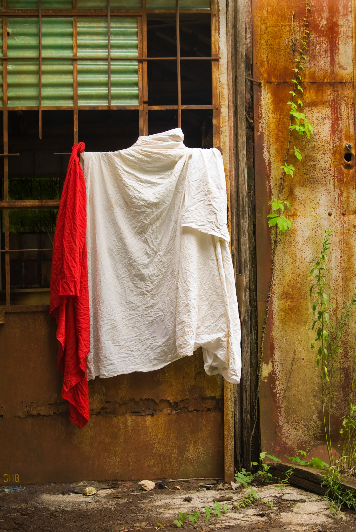 Still Life (2013)