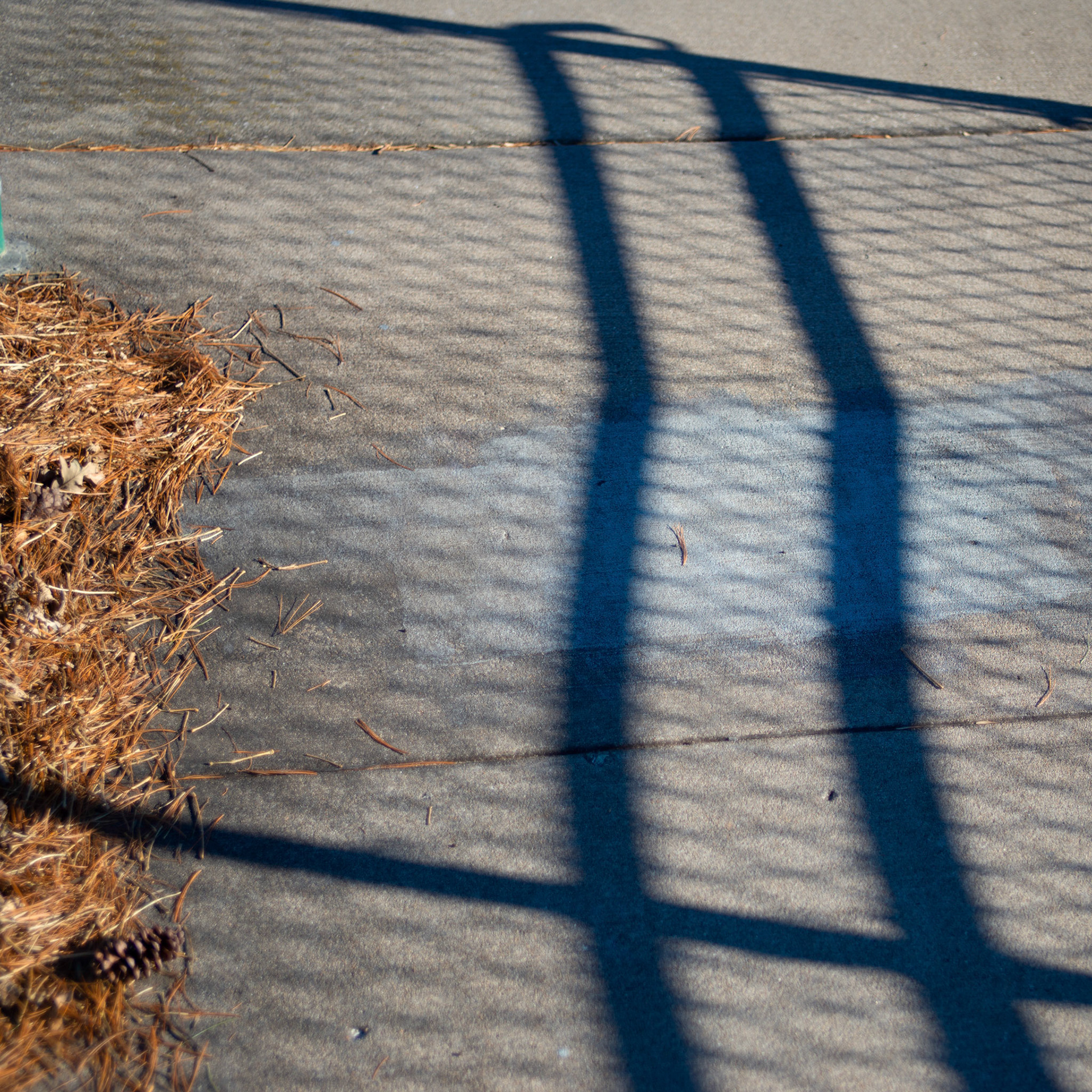 Shadow Pattern (2019)
