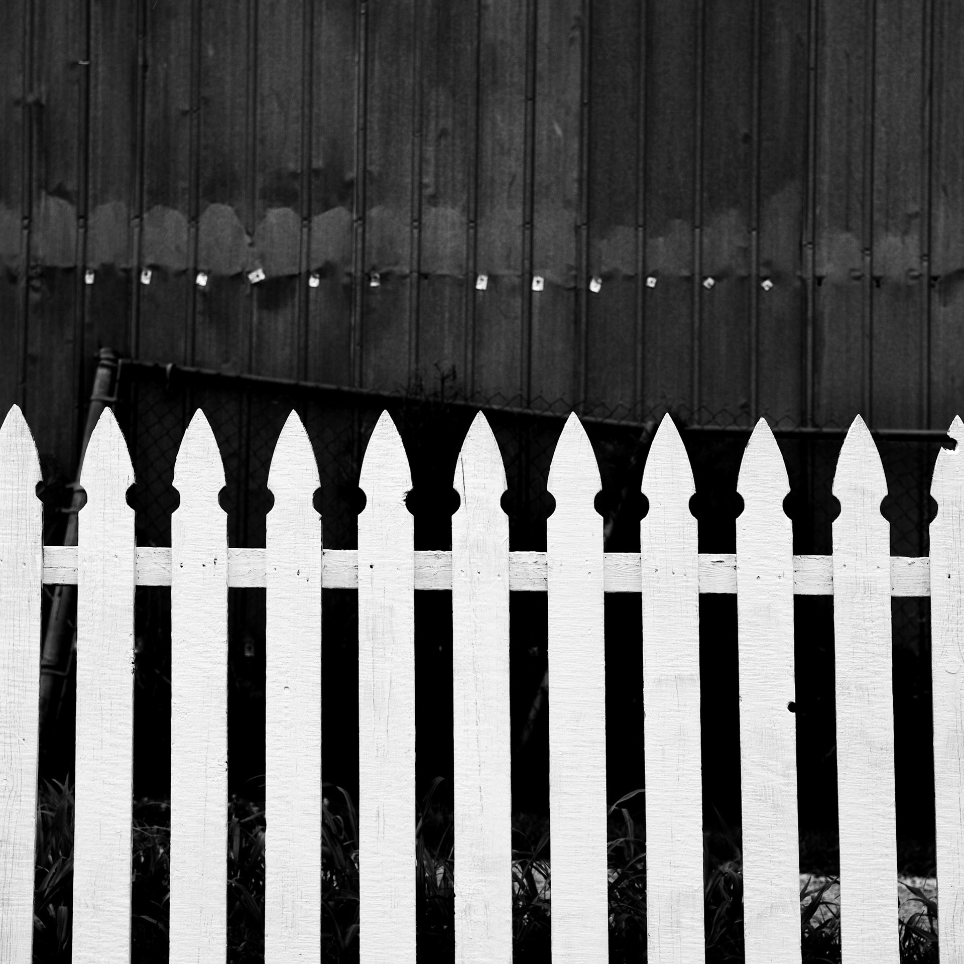 White Picket Fence (2019)