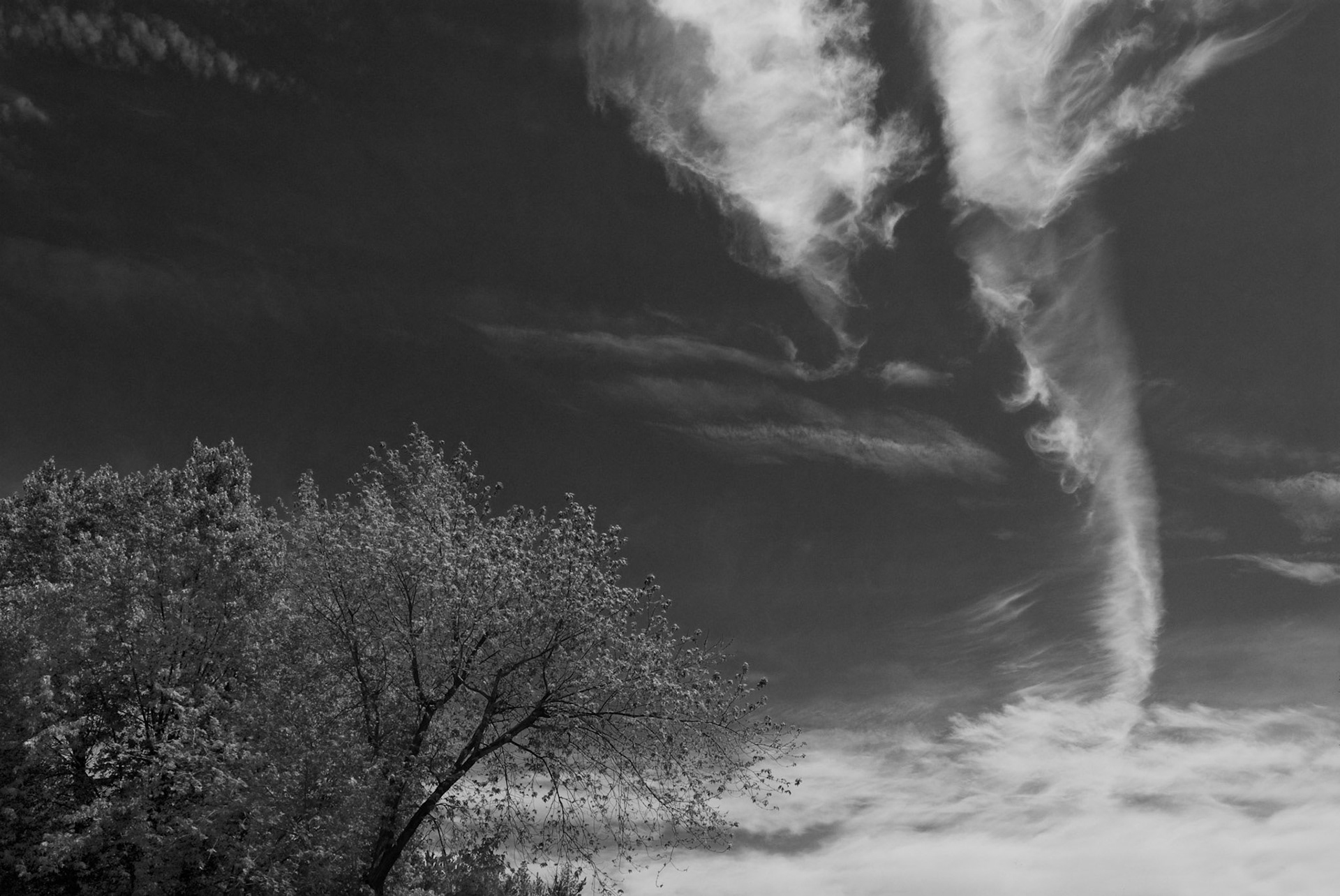 Whirlwind (2012)