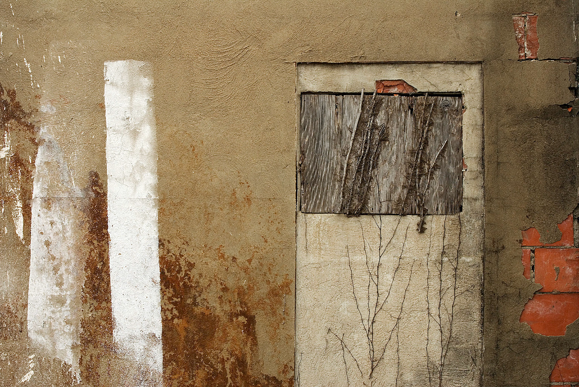 Door Abstract (2010)