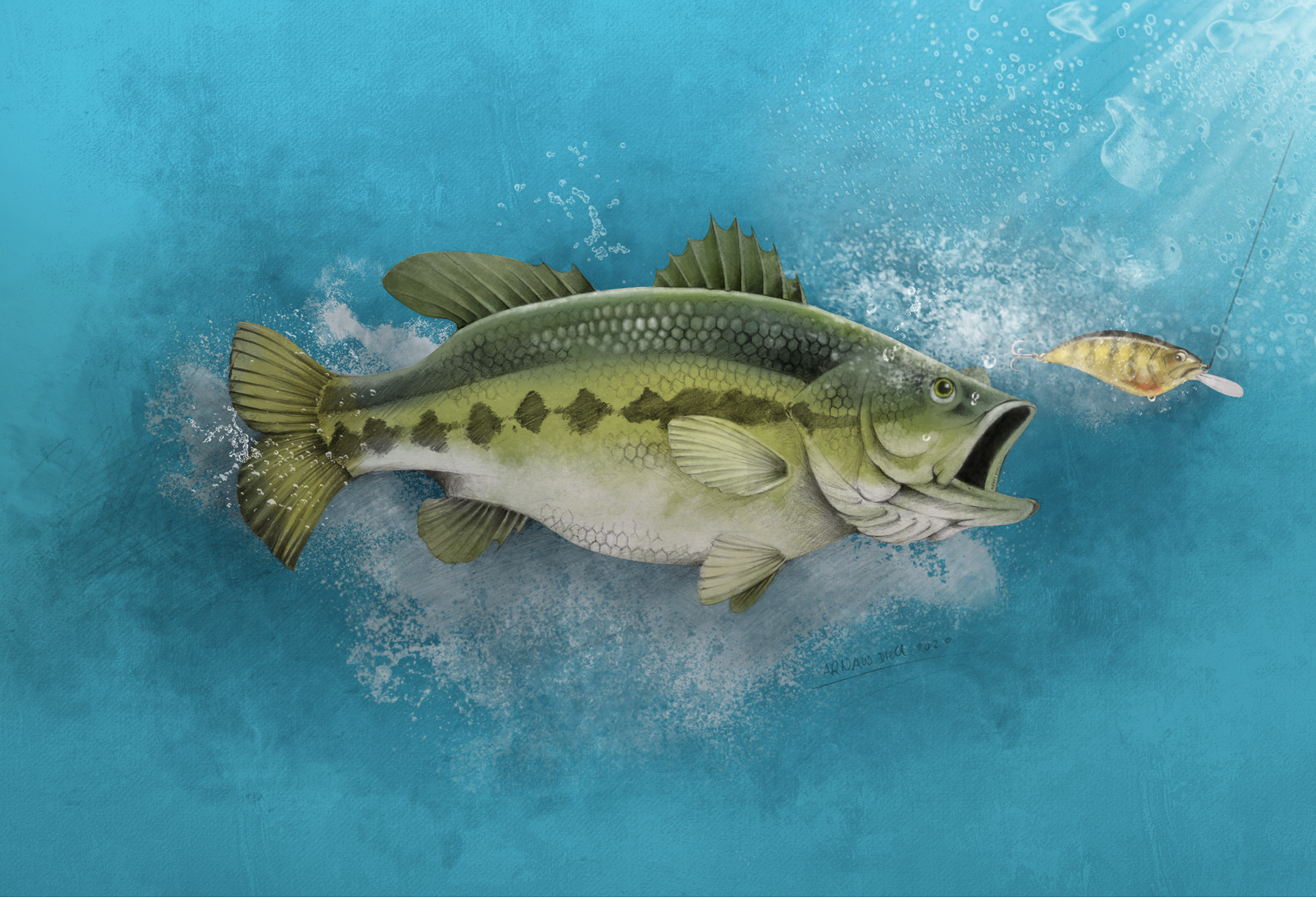 Black bass