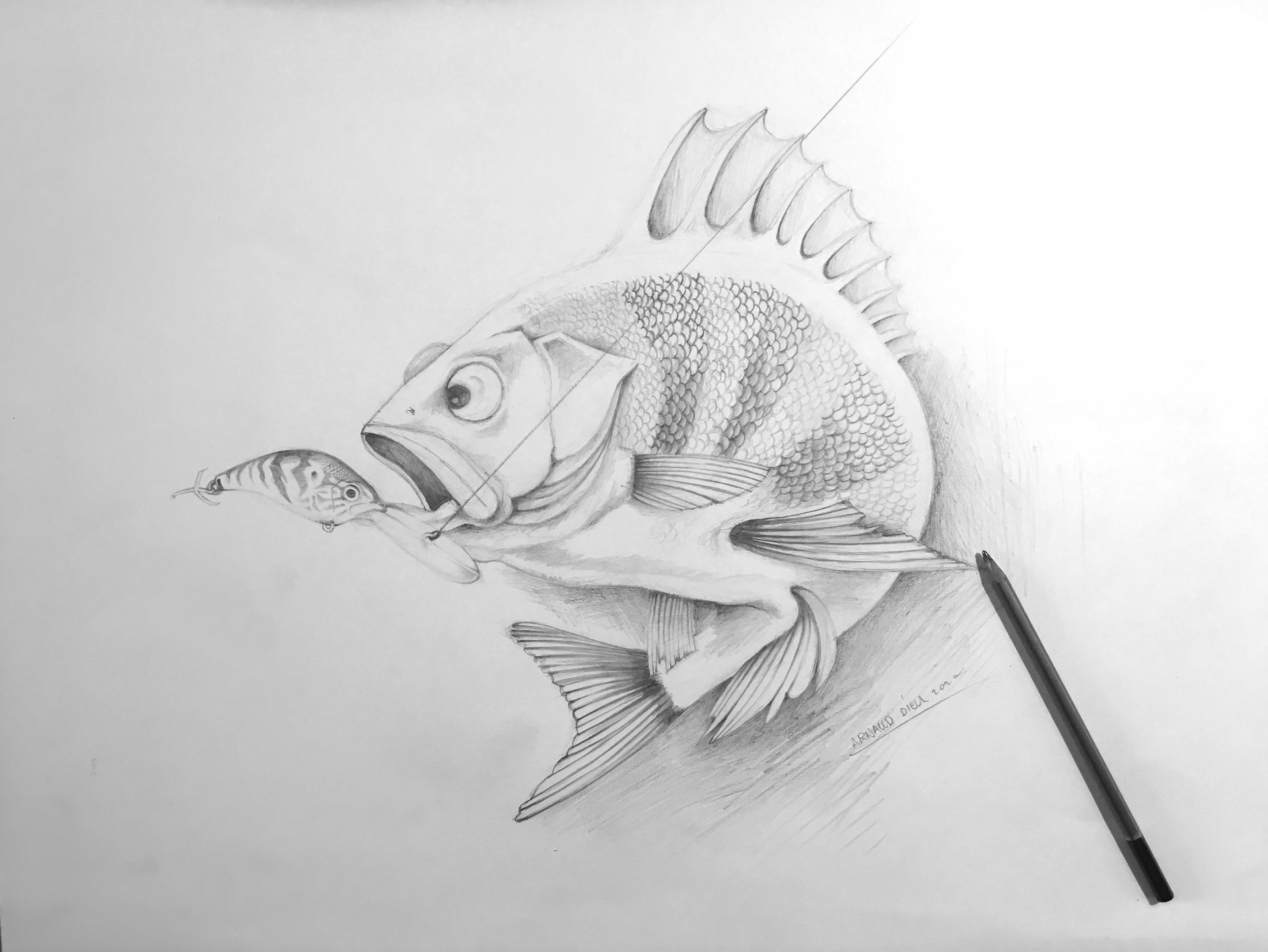 Perche // Zipbaits B-Switcher