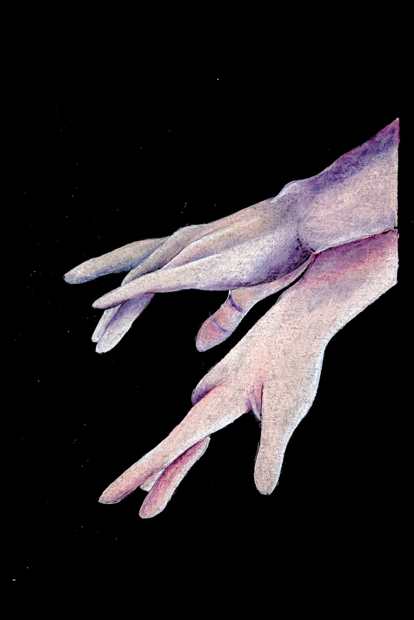 "Untitled Collection" - Prismacolored Pencil