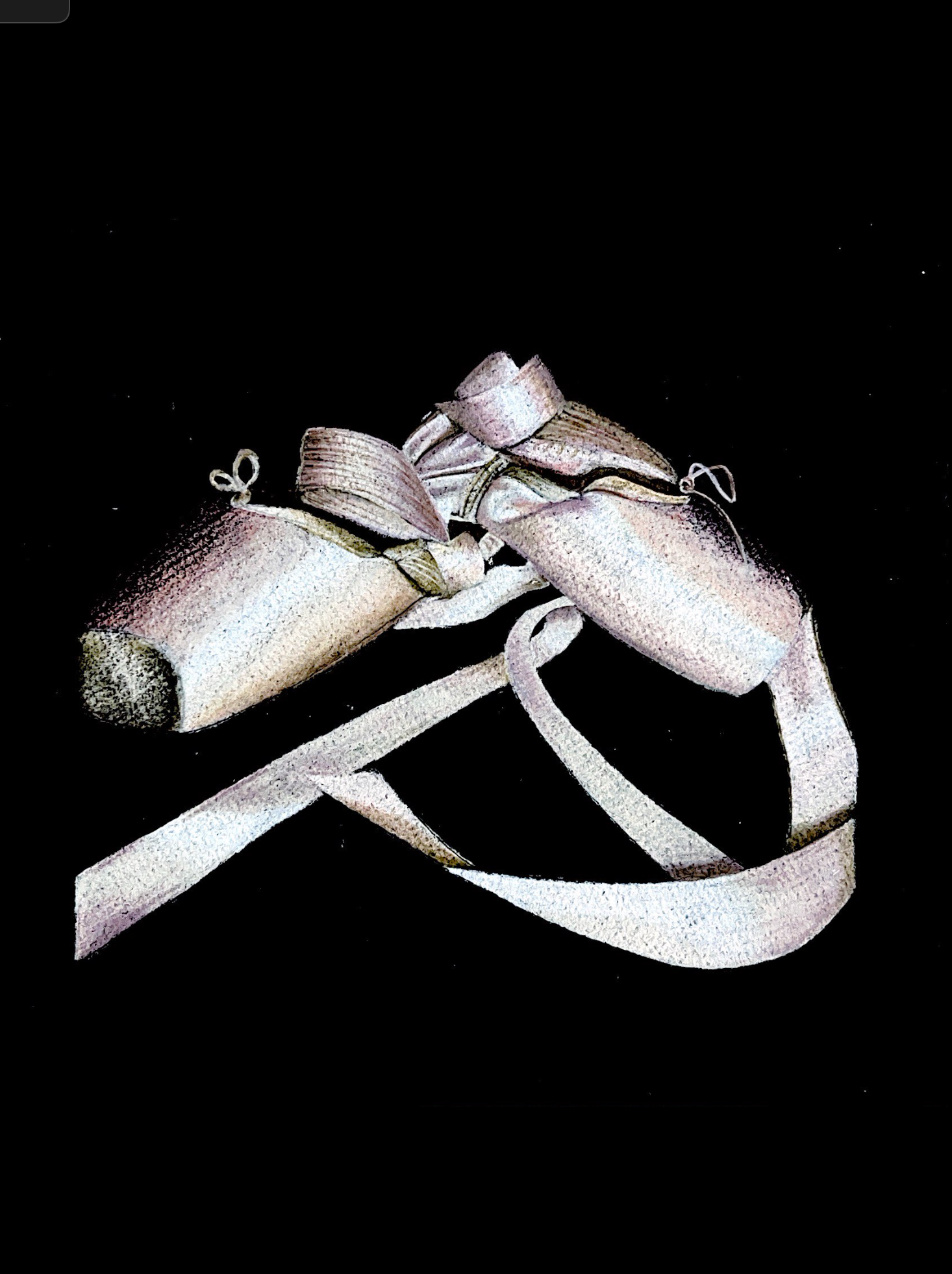 "Untitled Collection" - Prismacolored Pencil