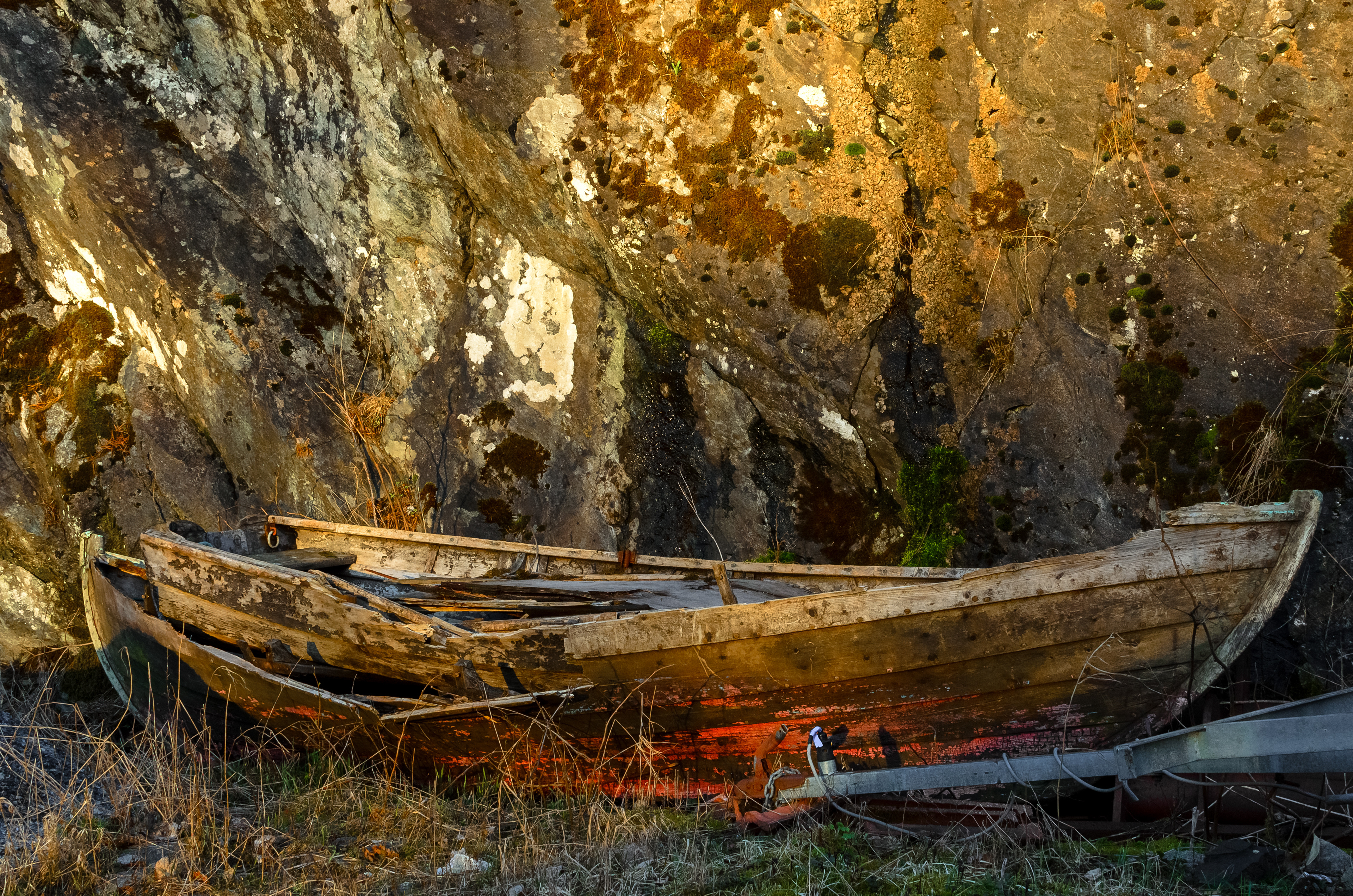 Blending in, in Bergen