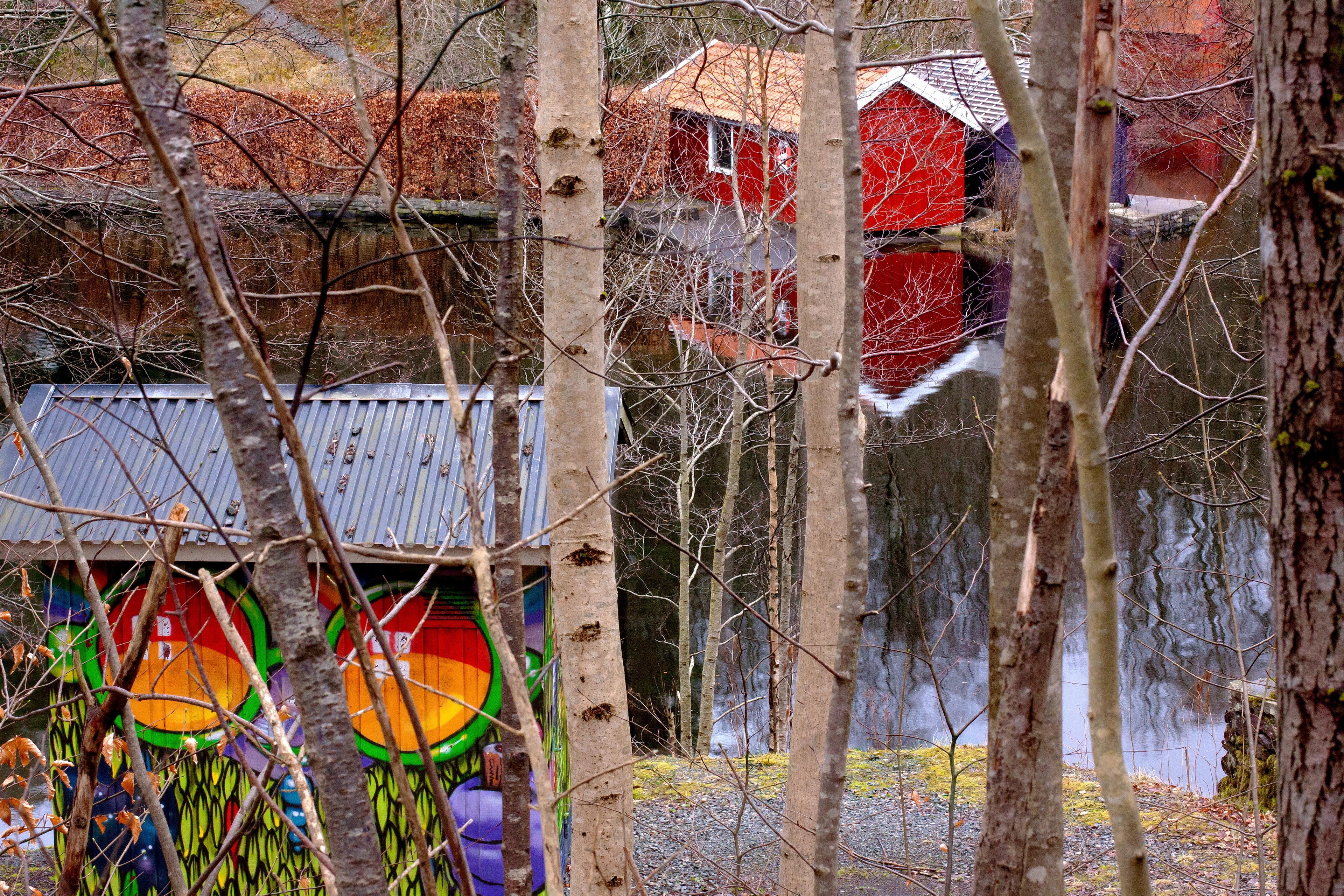 Color on a cloudy day