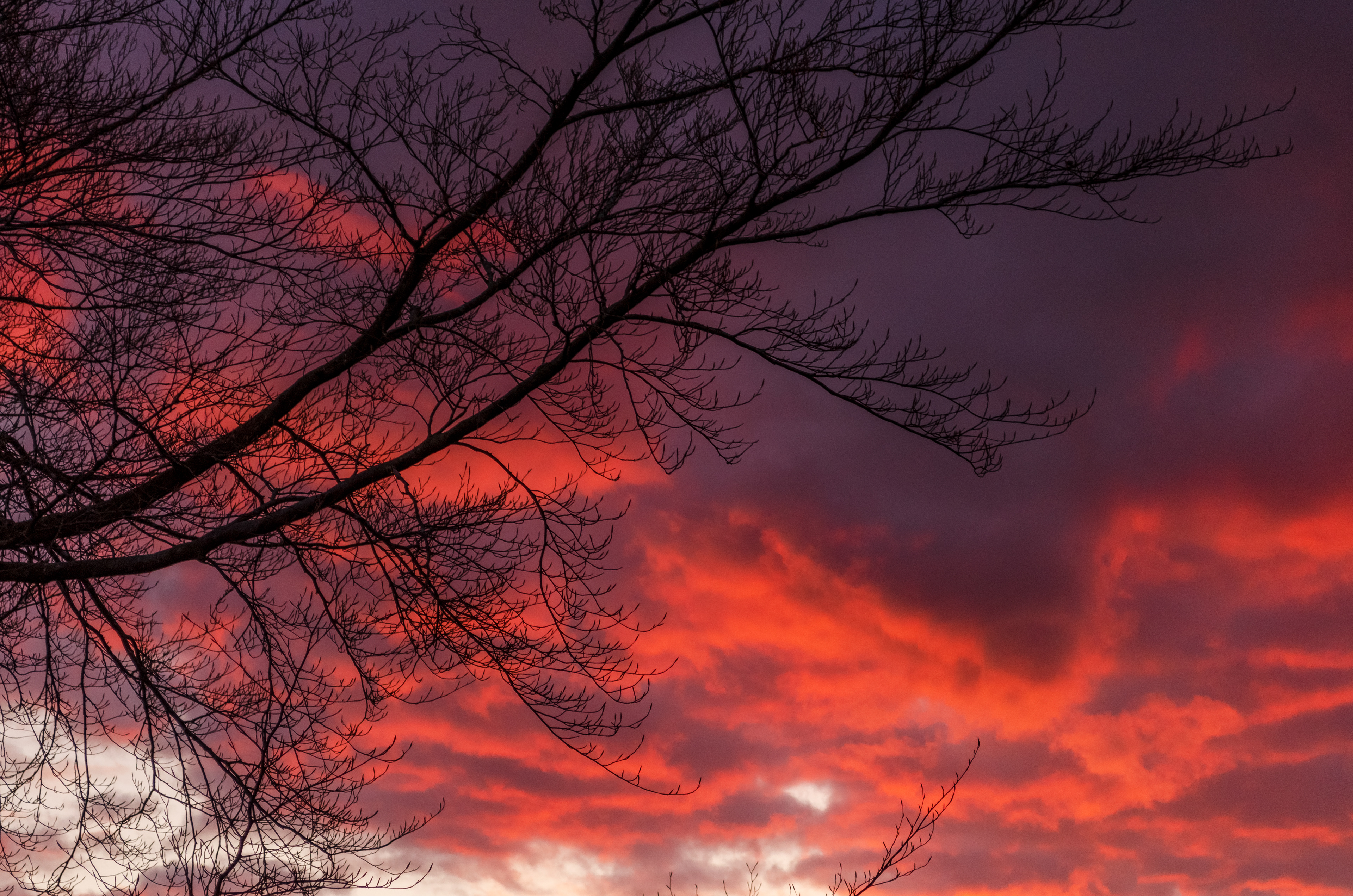 Red sky over Grieg's