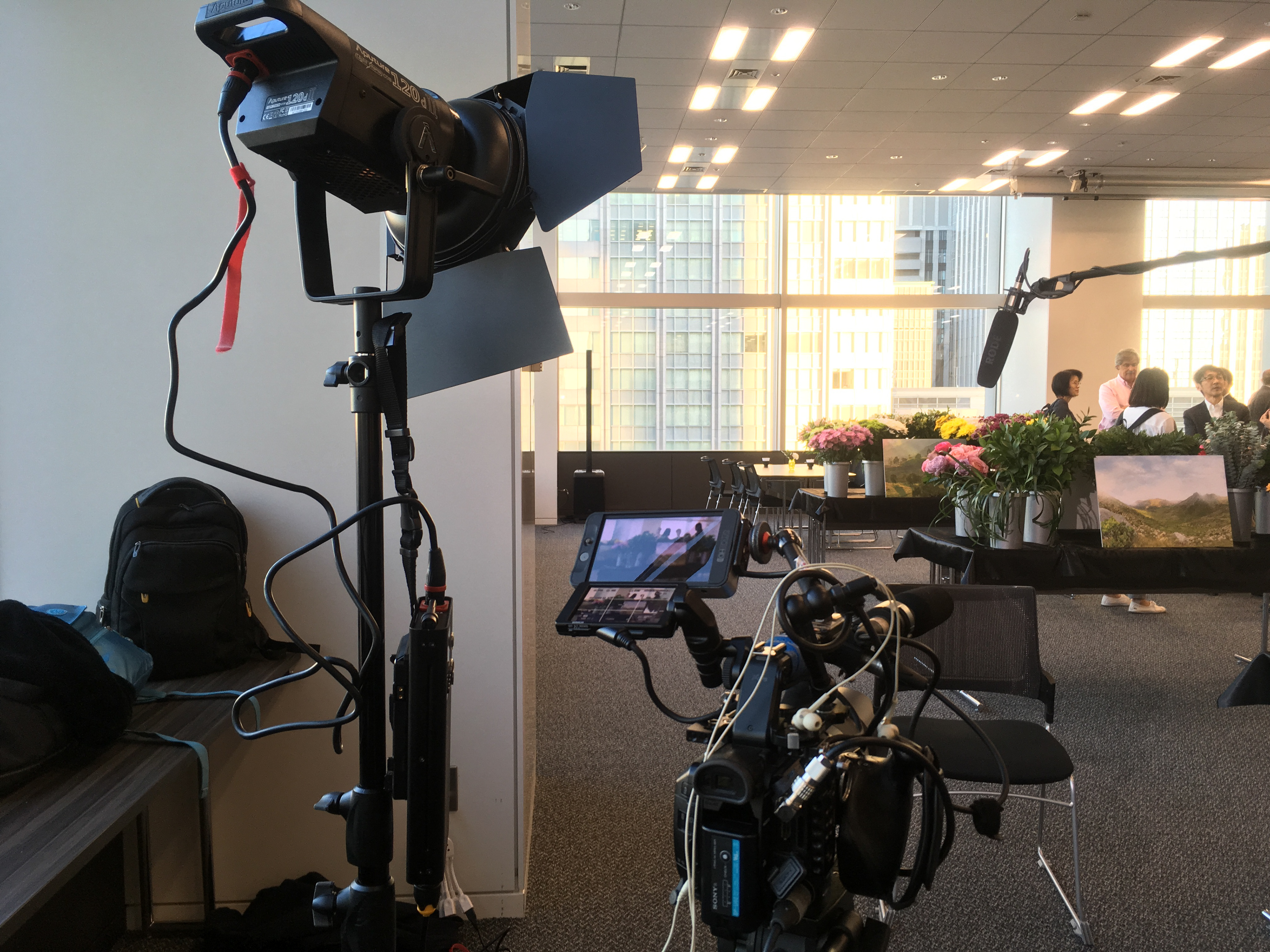 Sony FS5 interview set up.