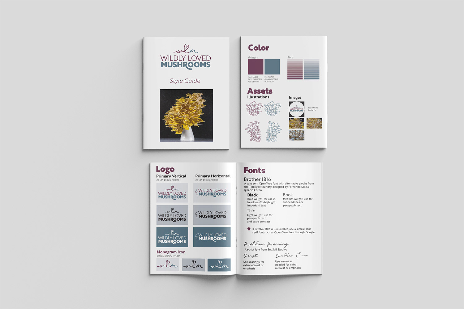 brand style guide on mockup