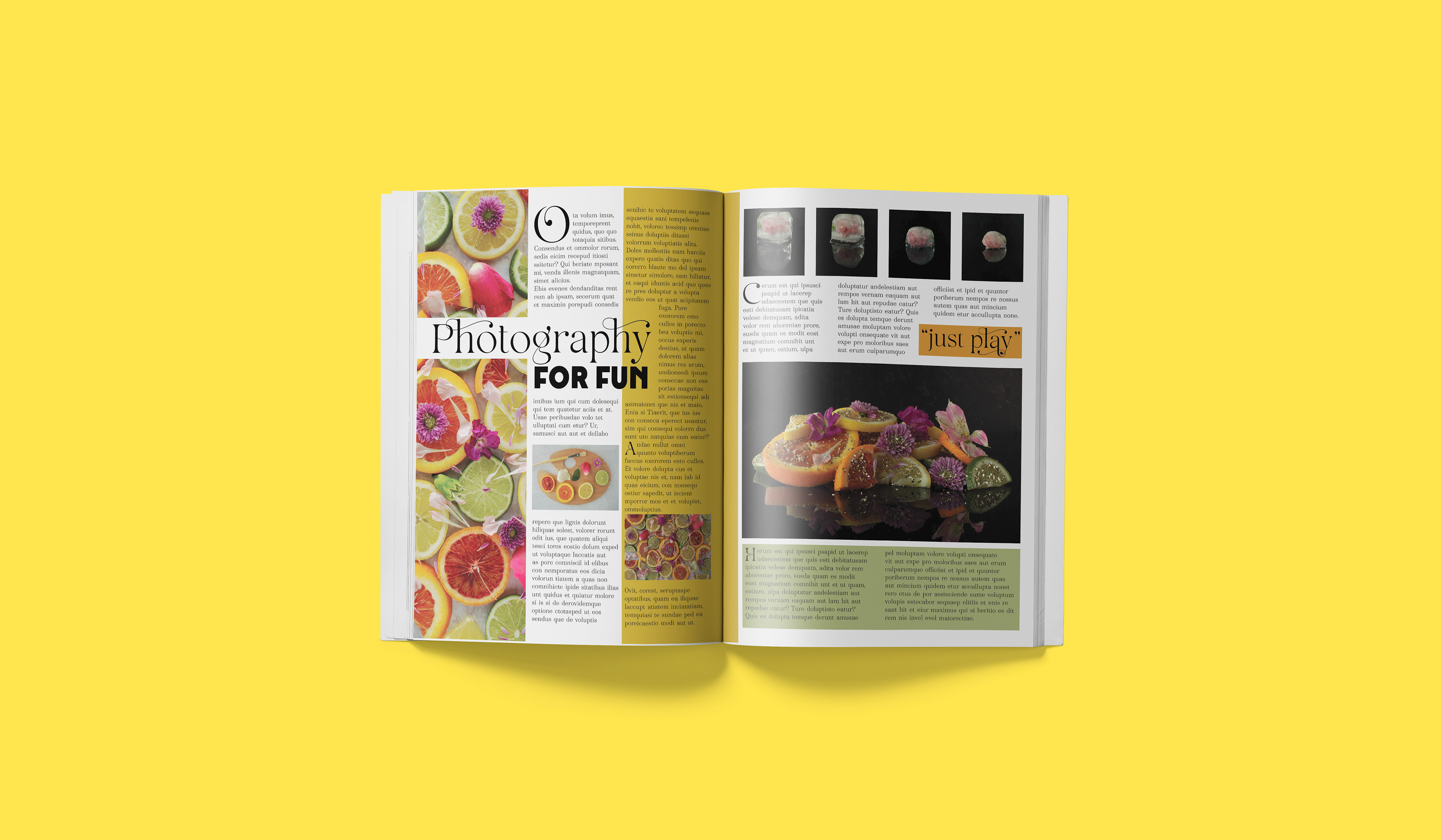 A two page magazine layout featuring photos of sliced lemons, oranges, and limes mixed with flowers, used on a paint palette, mixed with glitter and frozen in an ice cube. The article is entitled "Photography for Fun."
