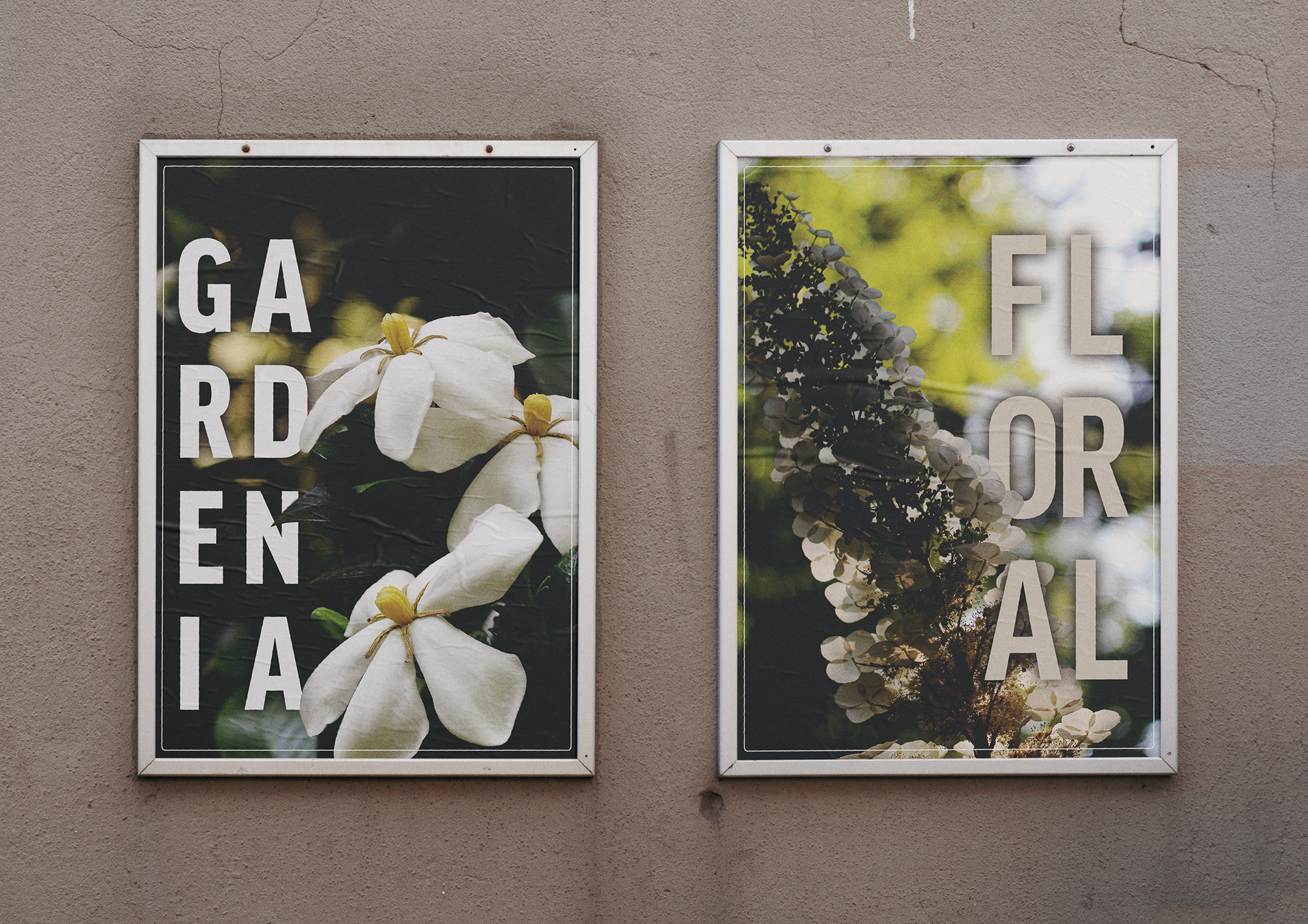 Two floral posters hanging on a concrete, one reads gardenias with a trio of flowers and the other is a stem of flowers and reads floral