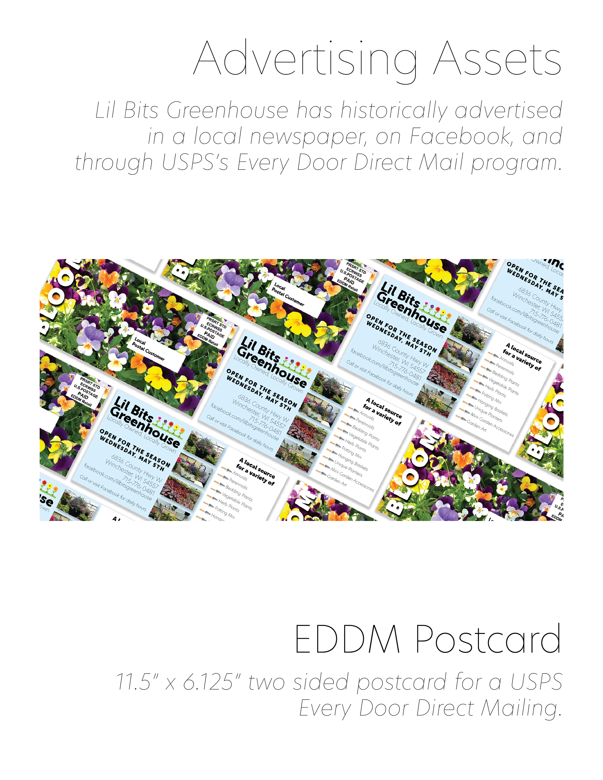 Page one of the Lil Bits Greenhouse branding folder displays the Every Door Direct Mail postcard designed. to be sent to local postal customers. 