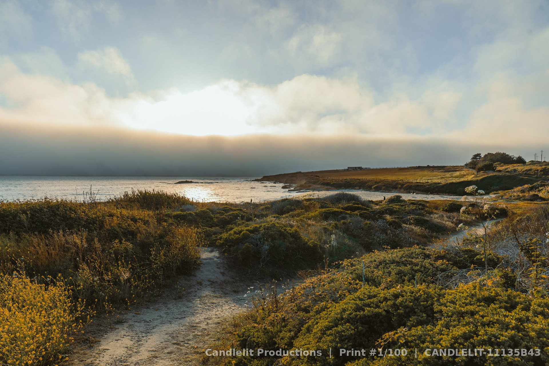 "Atmospheric photo titled 'When the Horizon Shifts' featuring a glowing horizon at dusk where the sea and sky blur into soft hues of blue and gold."