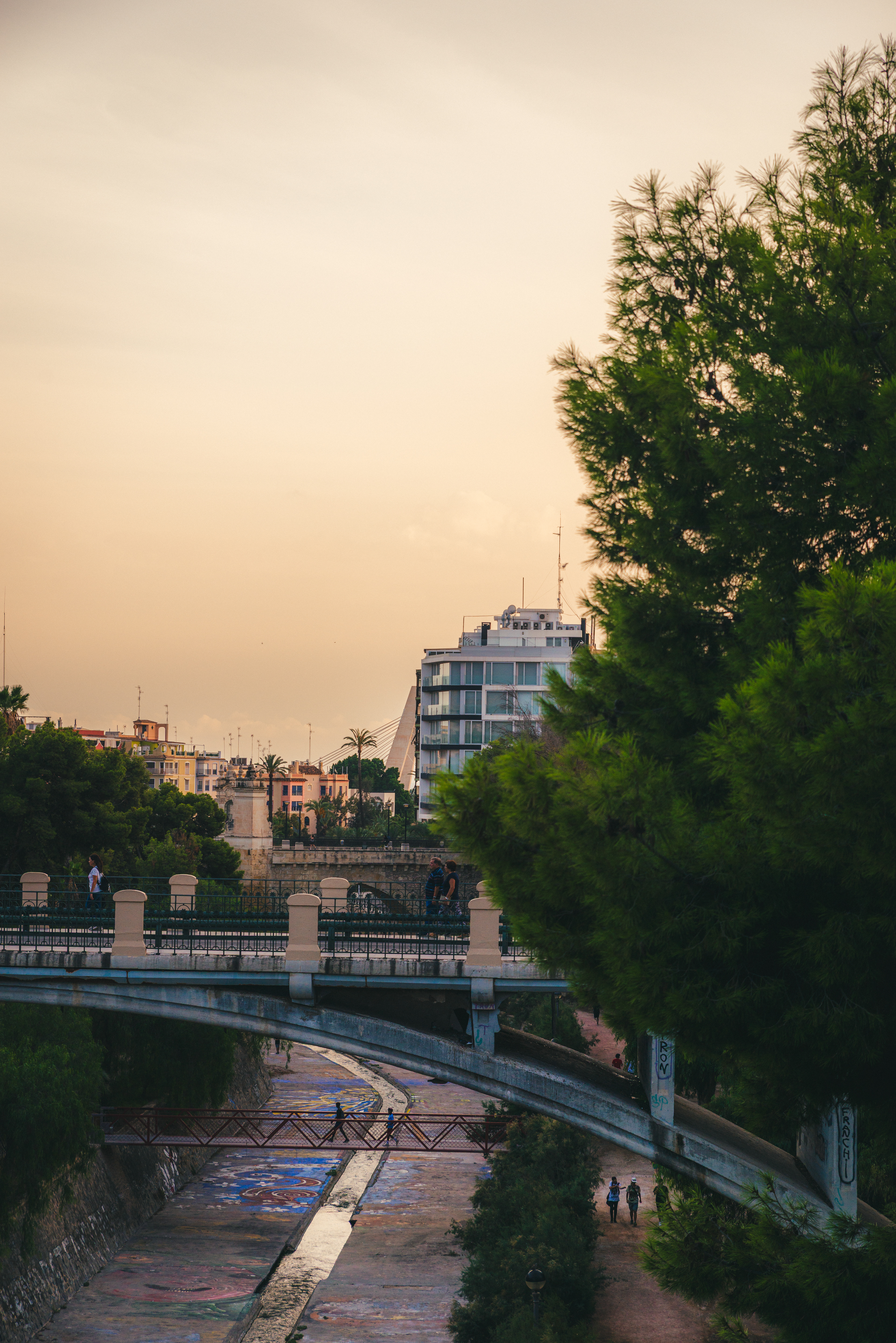 A couple of the many bridges that connects the two sides of Elche