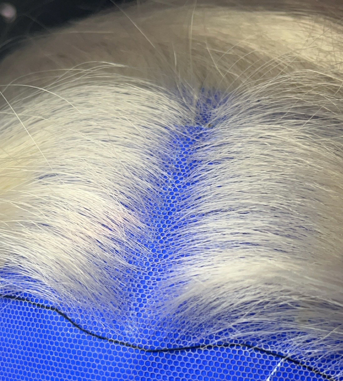 Front Lace Knotting