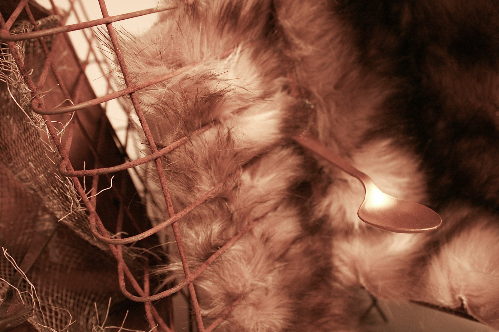 3D II - Common Materials, box project, detail